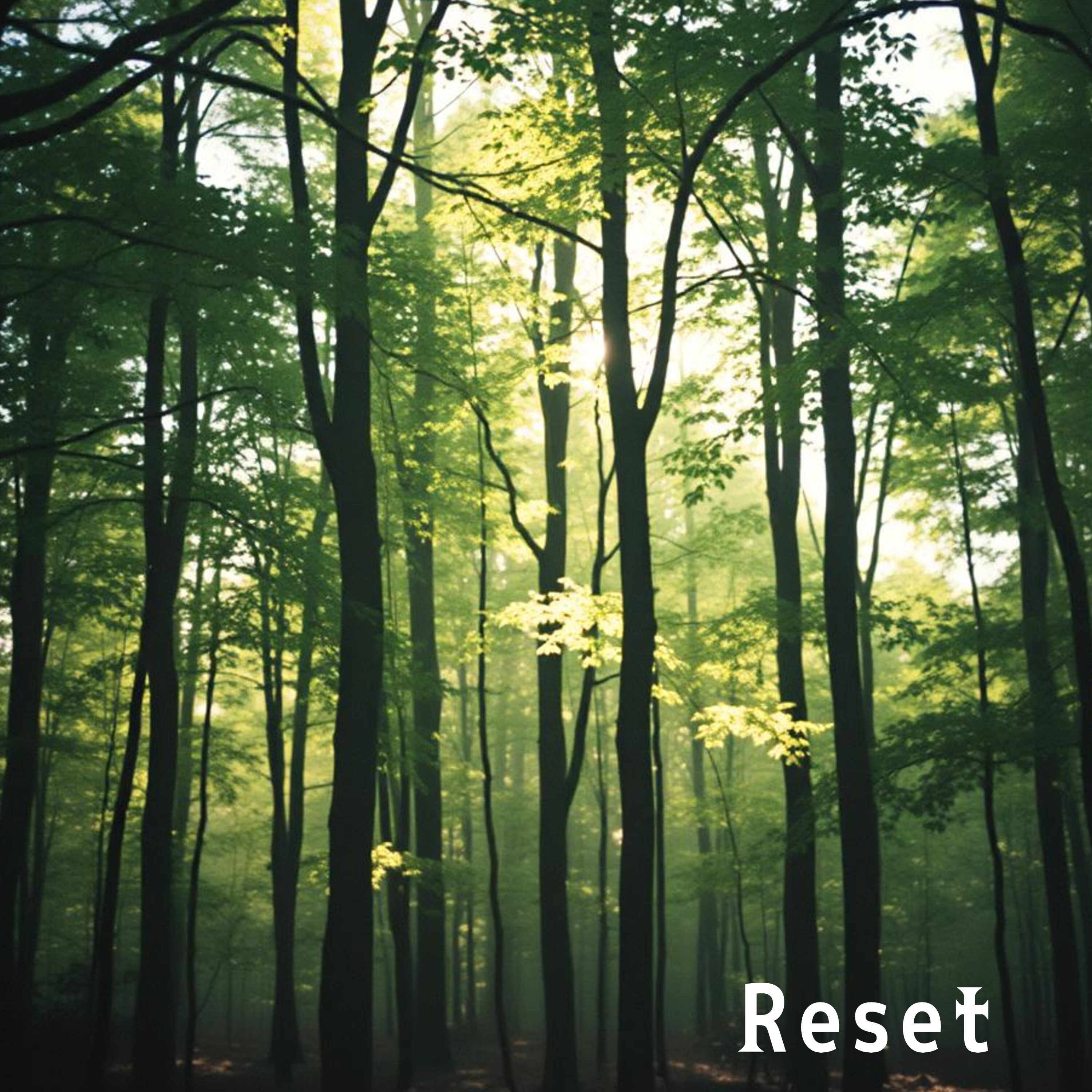 ジャケット写真