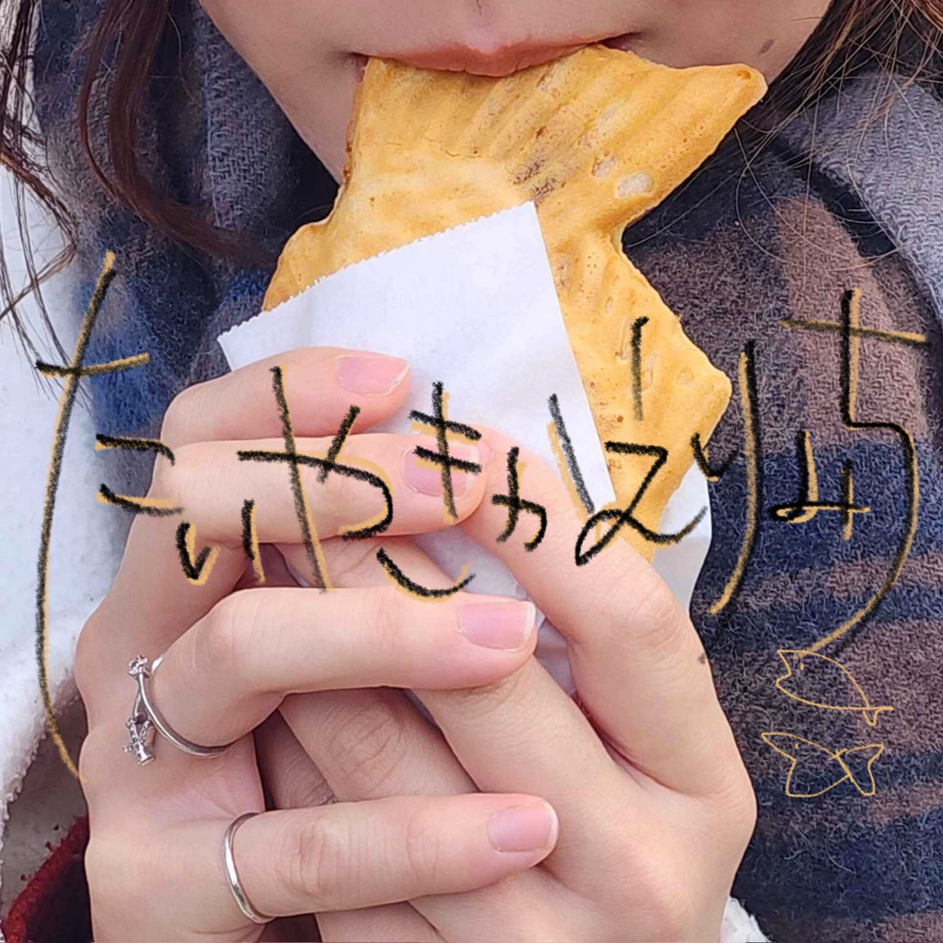 ジャケット写真