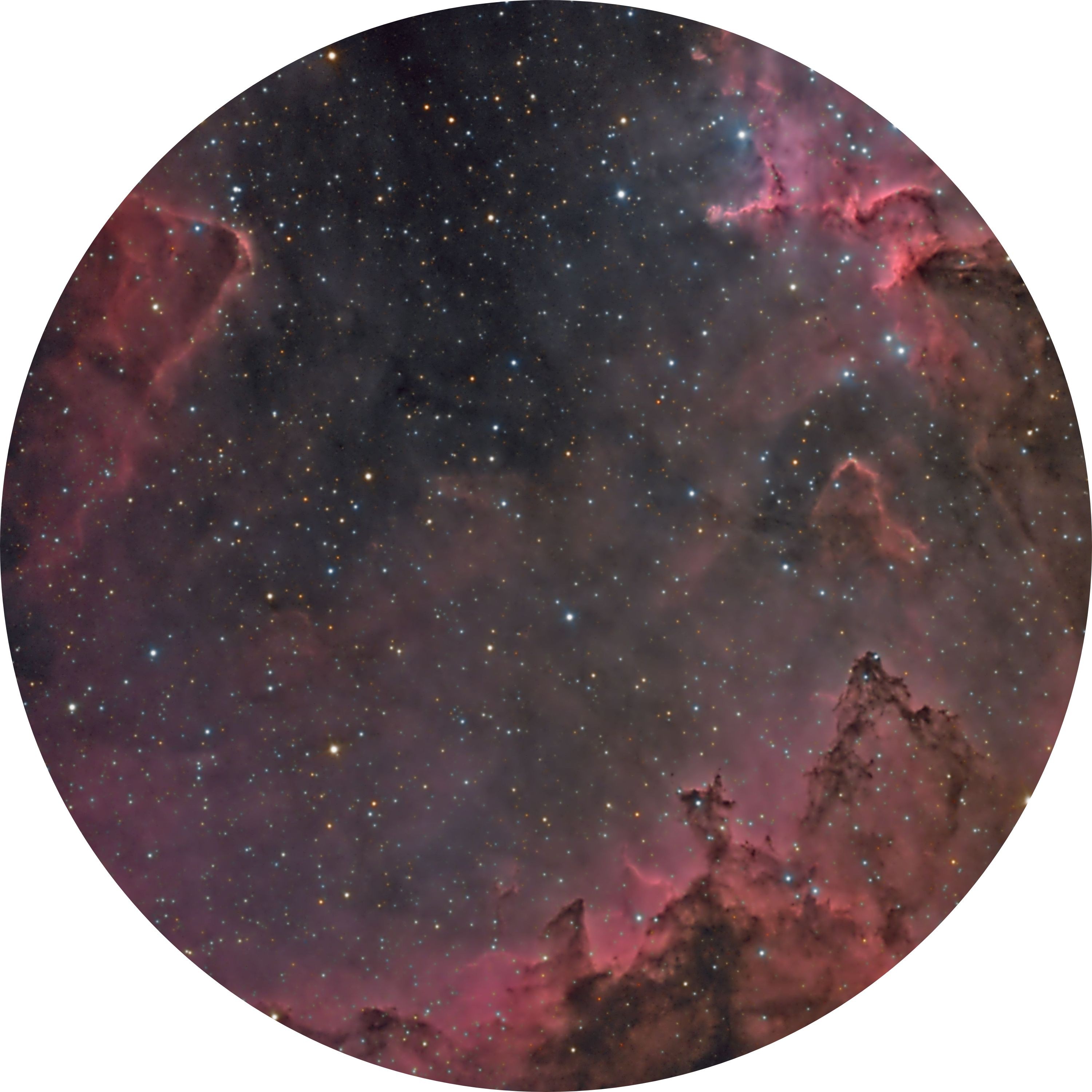 ジャケット写真