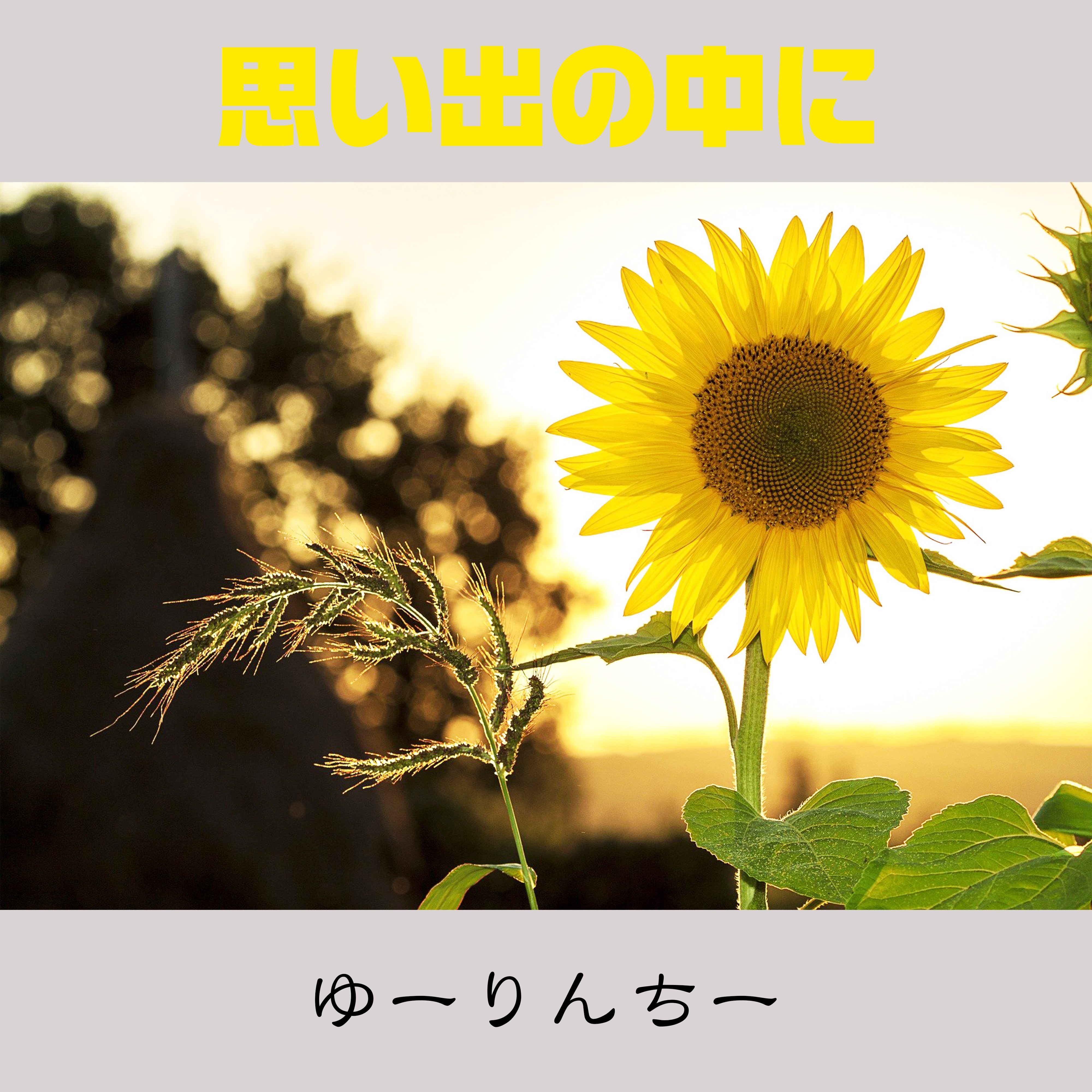 ジャケット写真