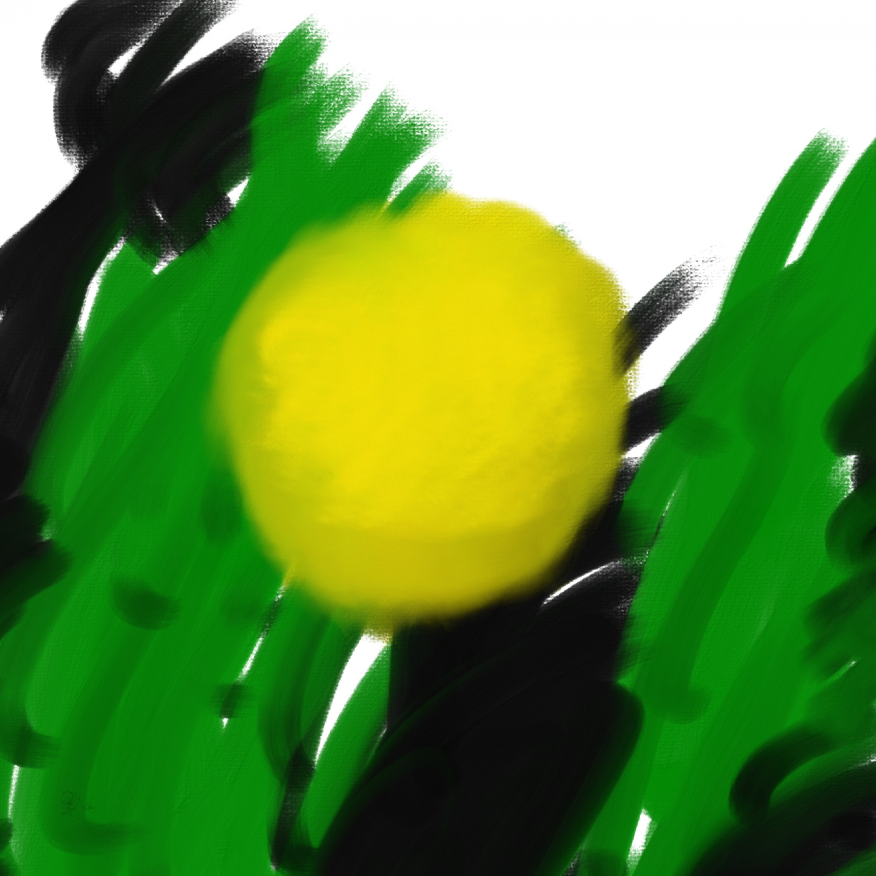 ジャケット写真