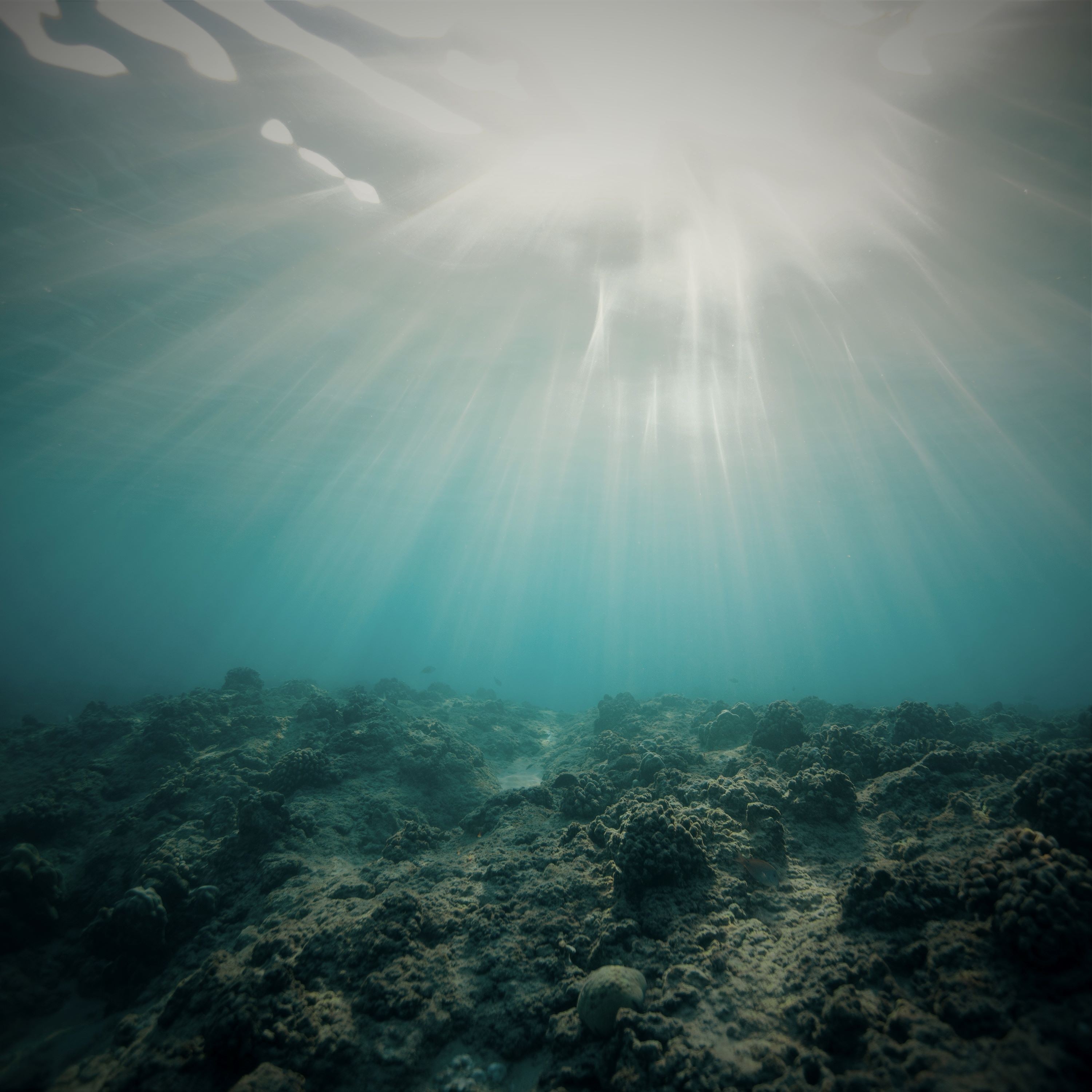 ジャケット写真