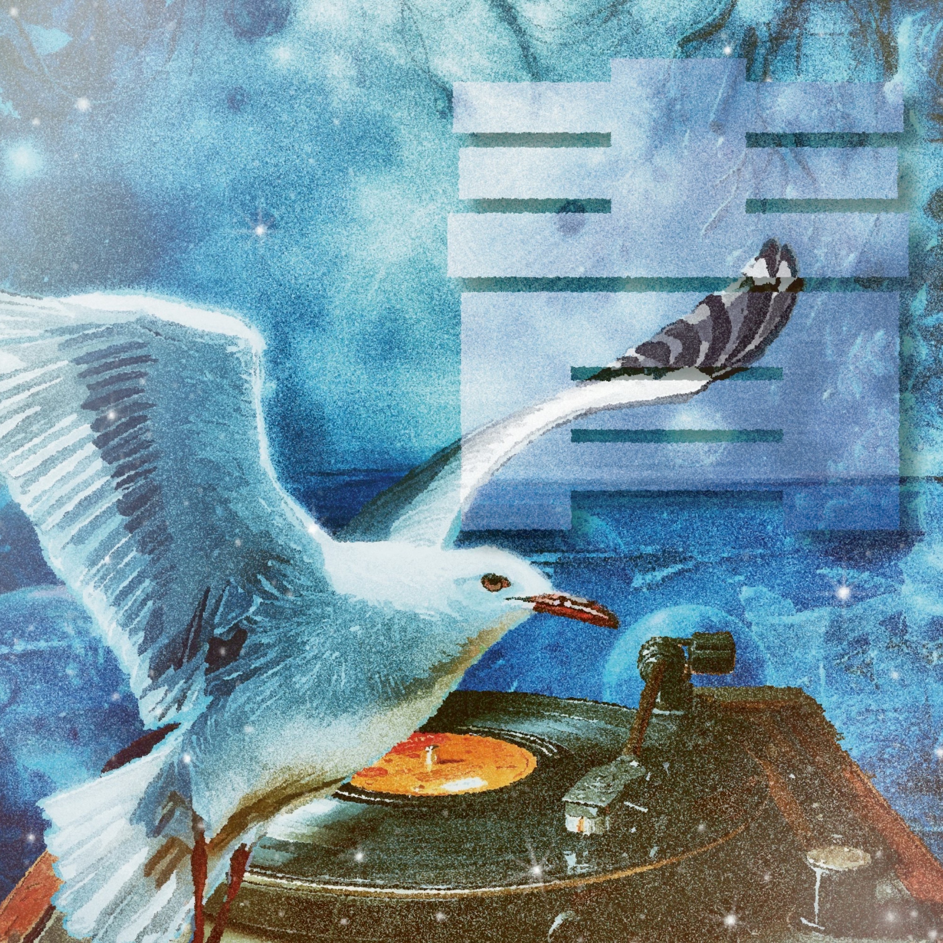 ジャケット写真