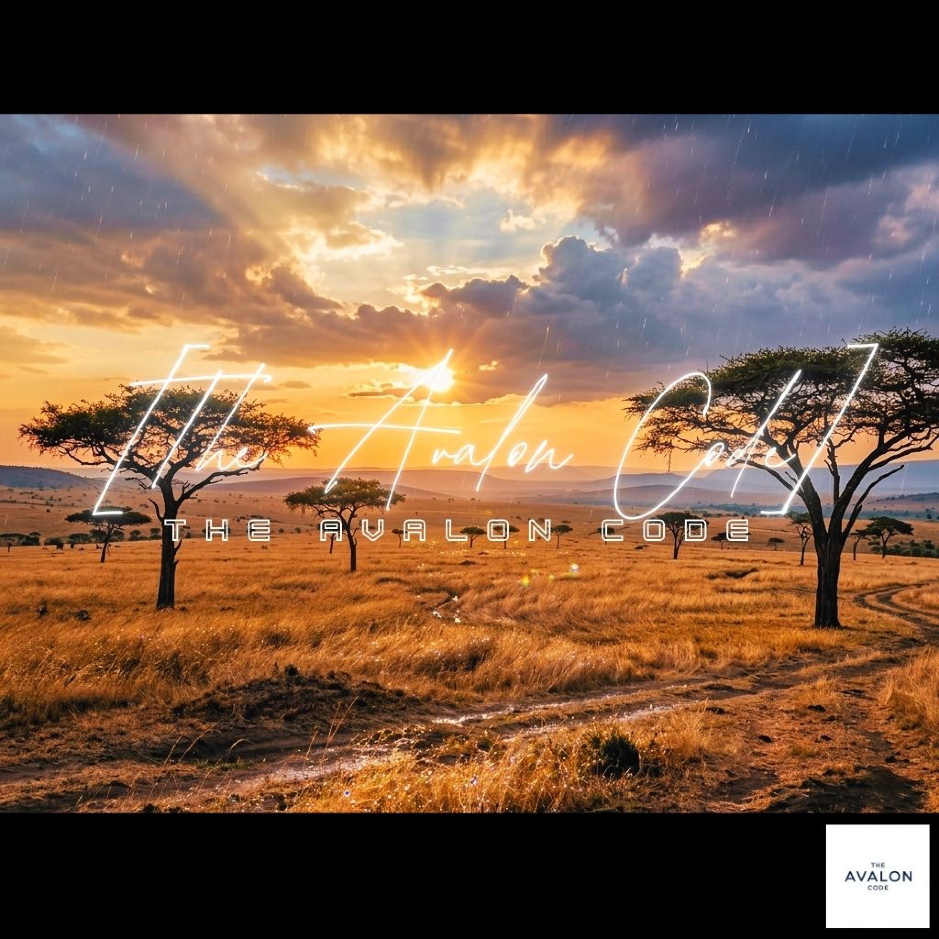 ジャケット写真