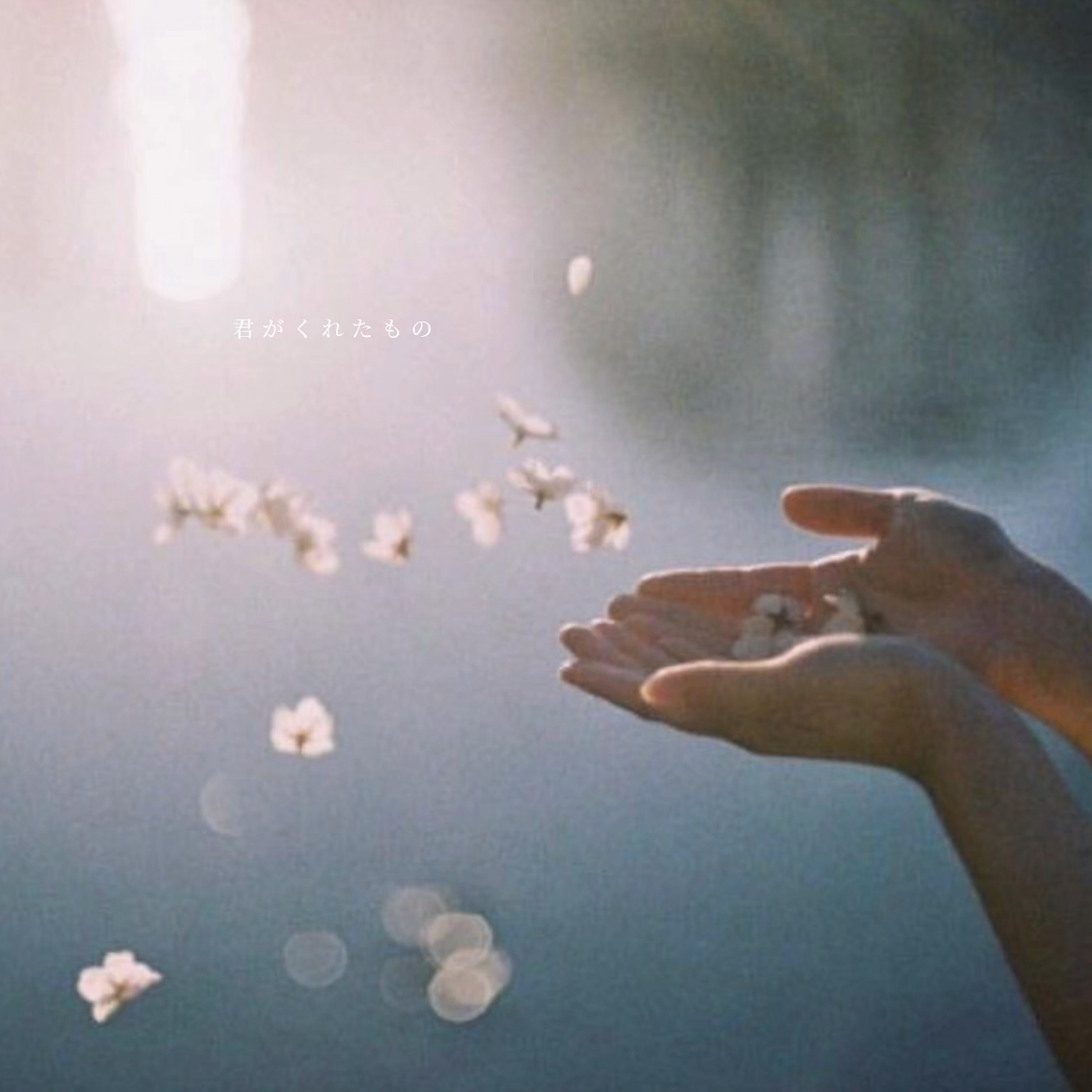 ジャケット写真