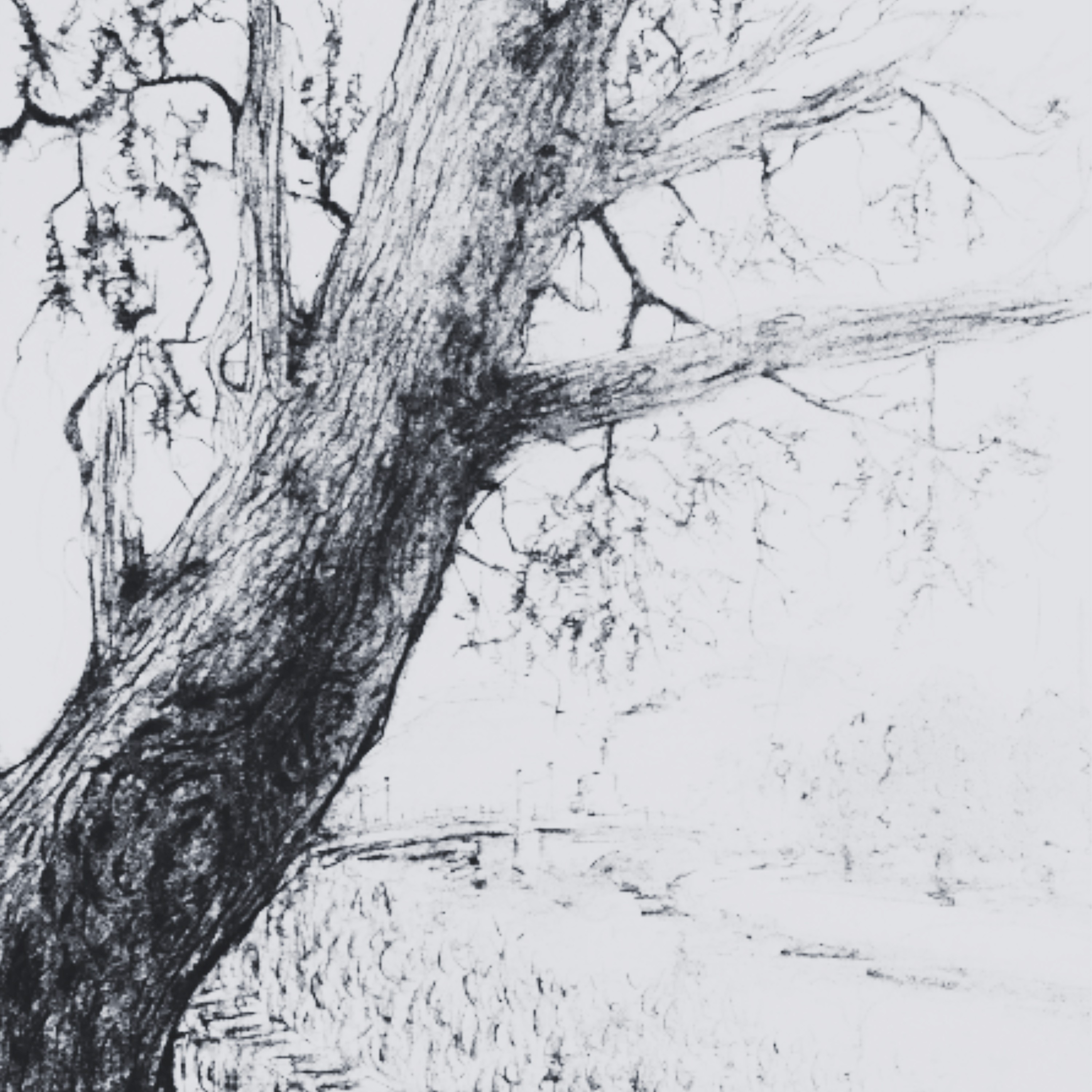 ジャケット写真