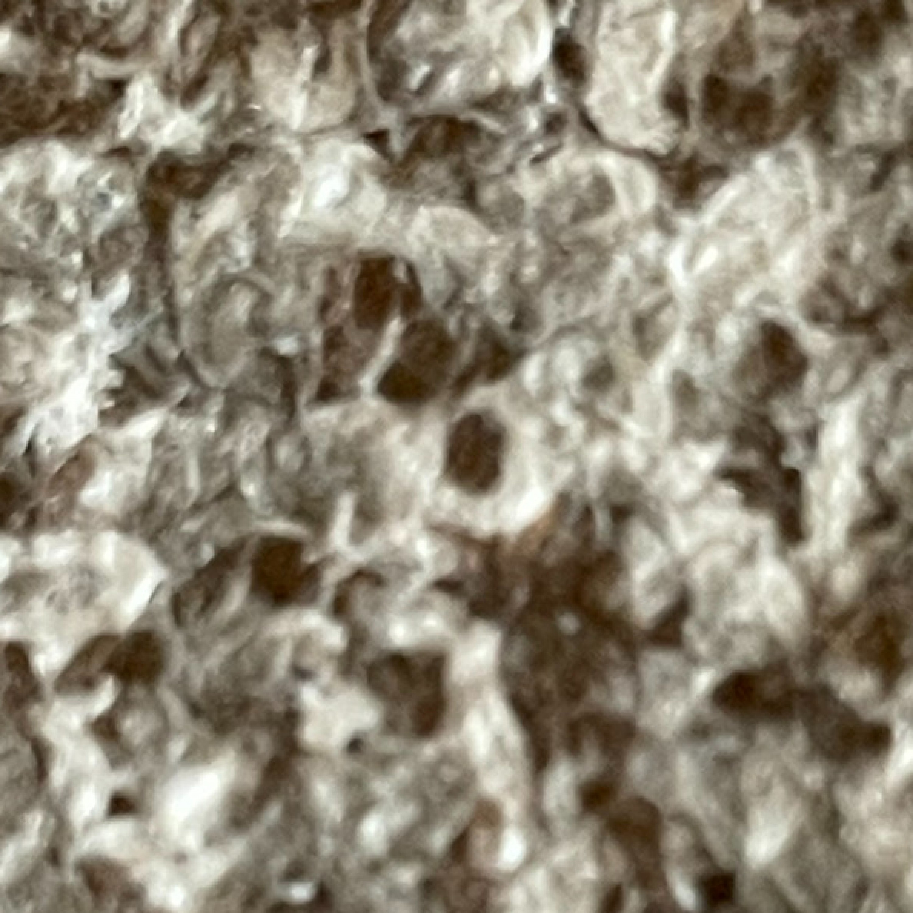 ジャケット写真