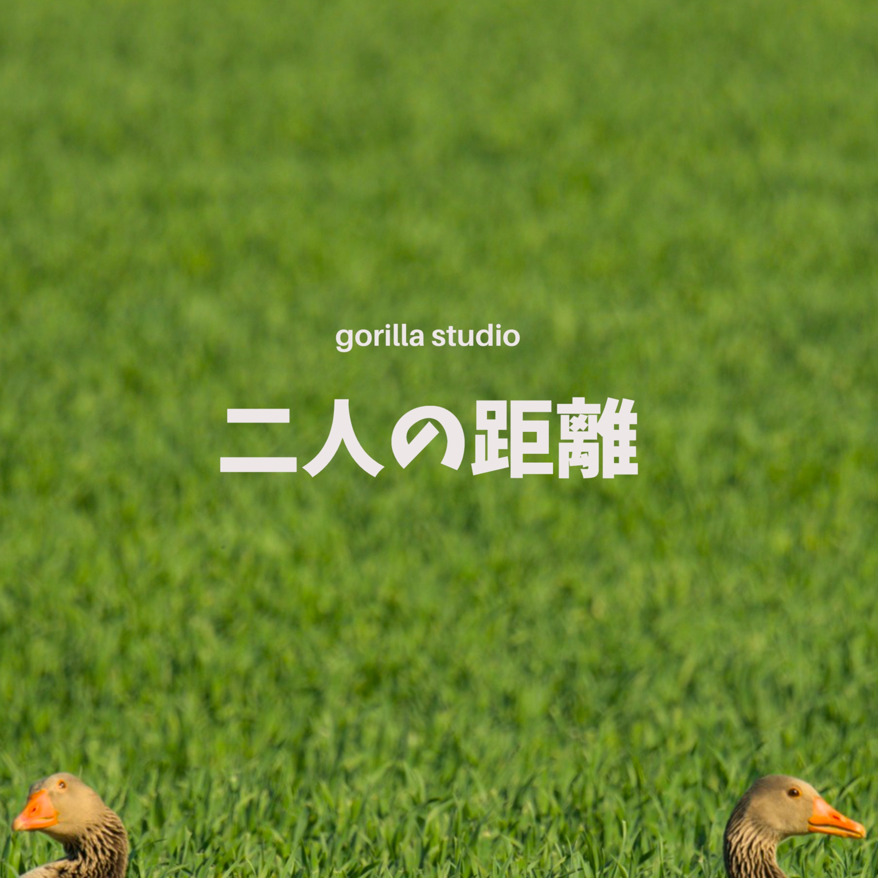 ジャケット写真