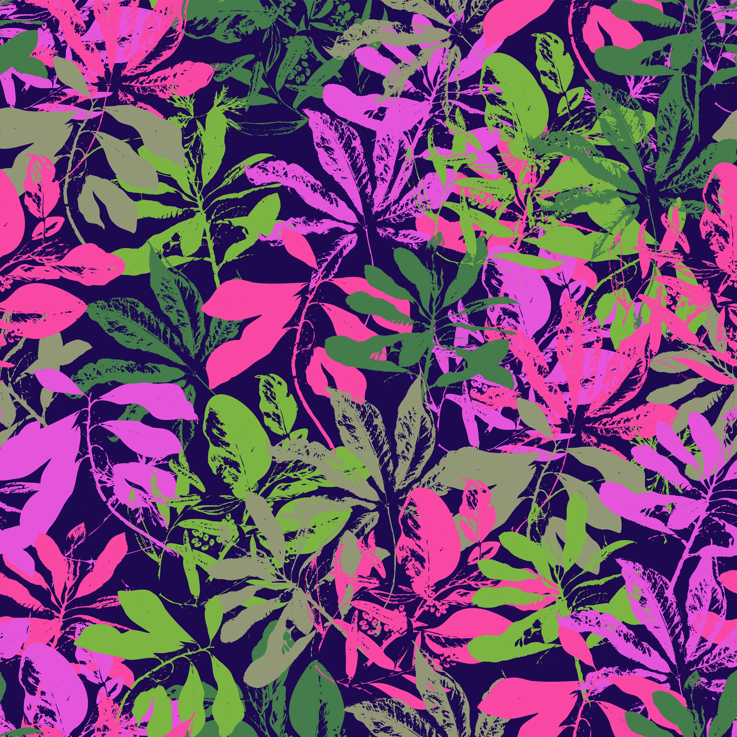 ジャケット写真