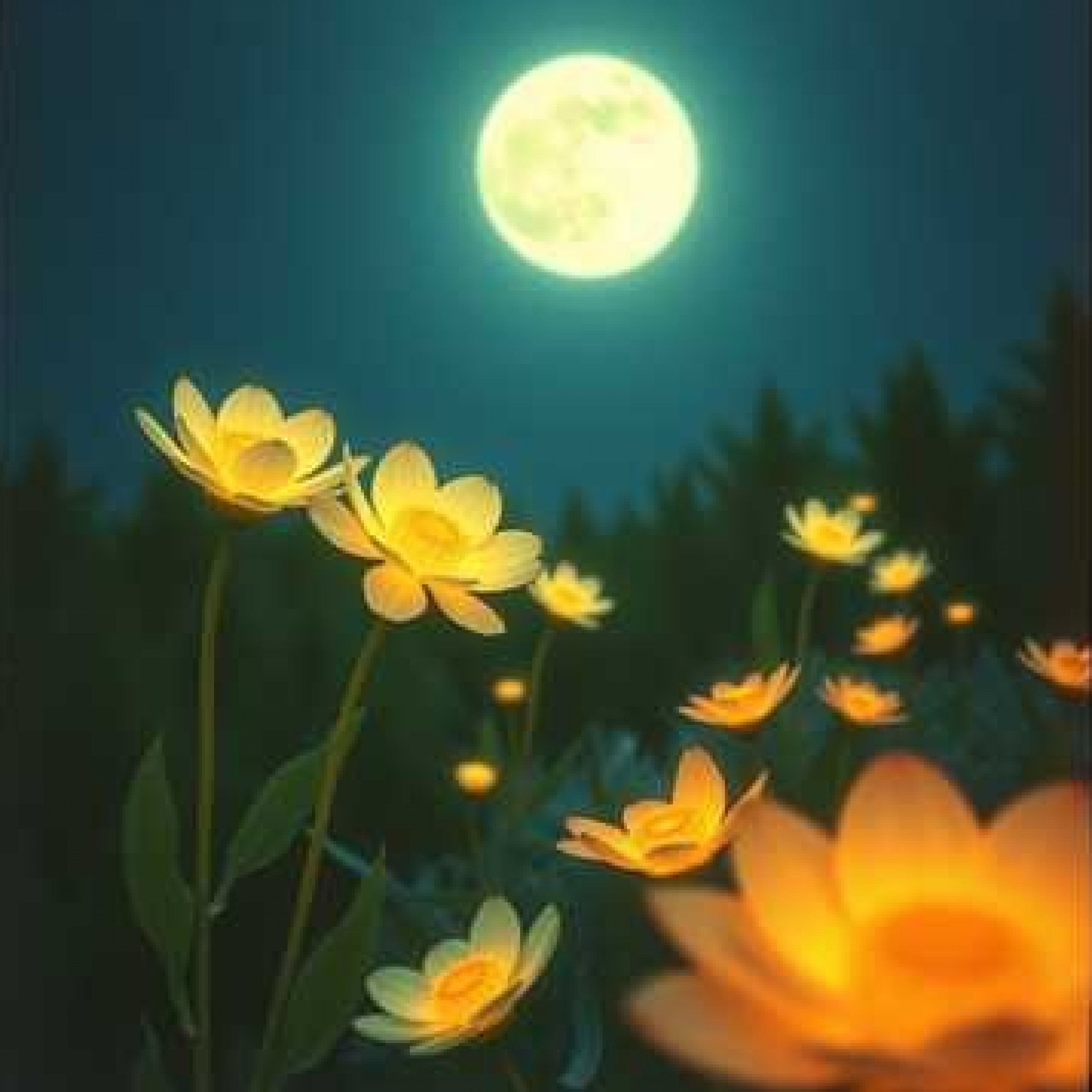 ジャケット写真