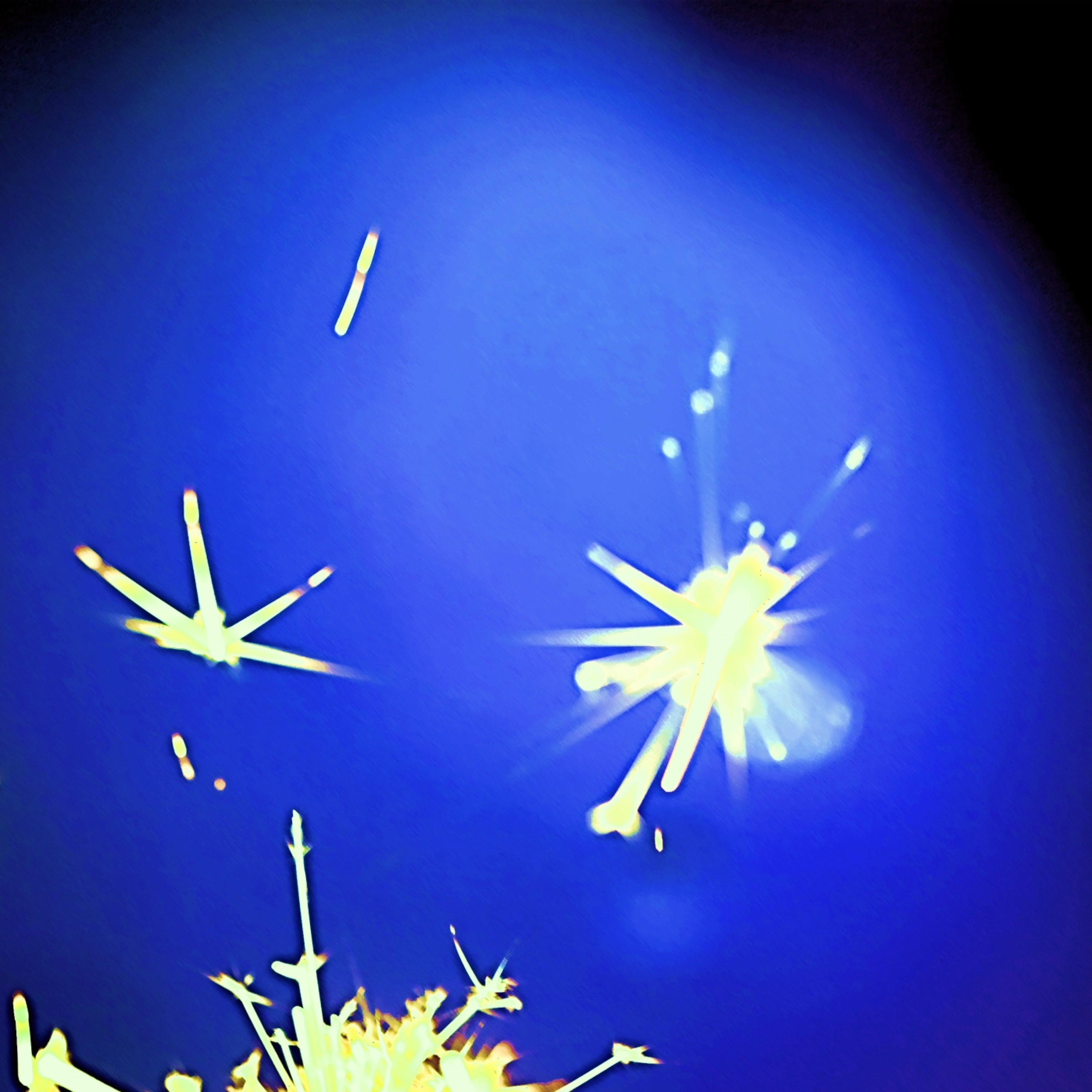 ジャケット写真