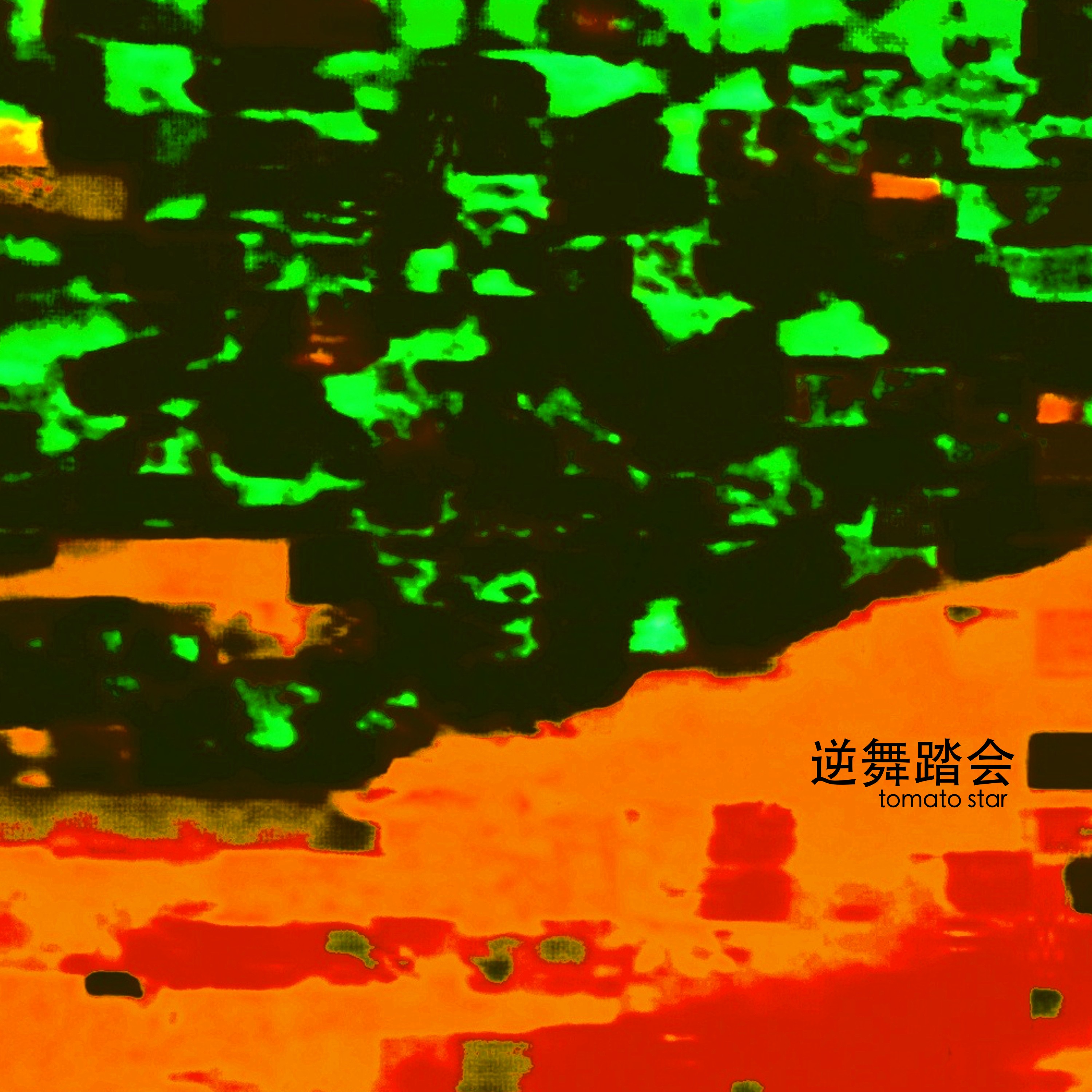 ジャケット写真