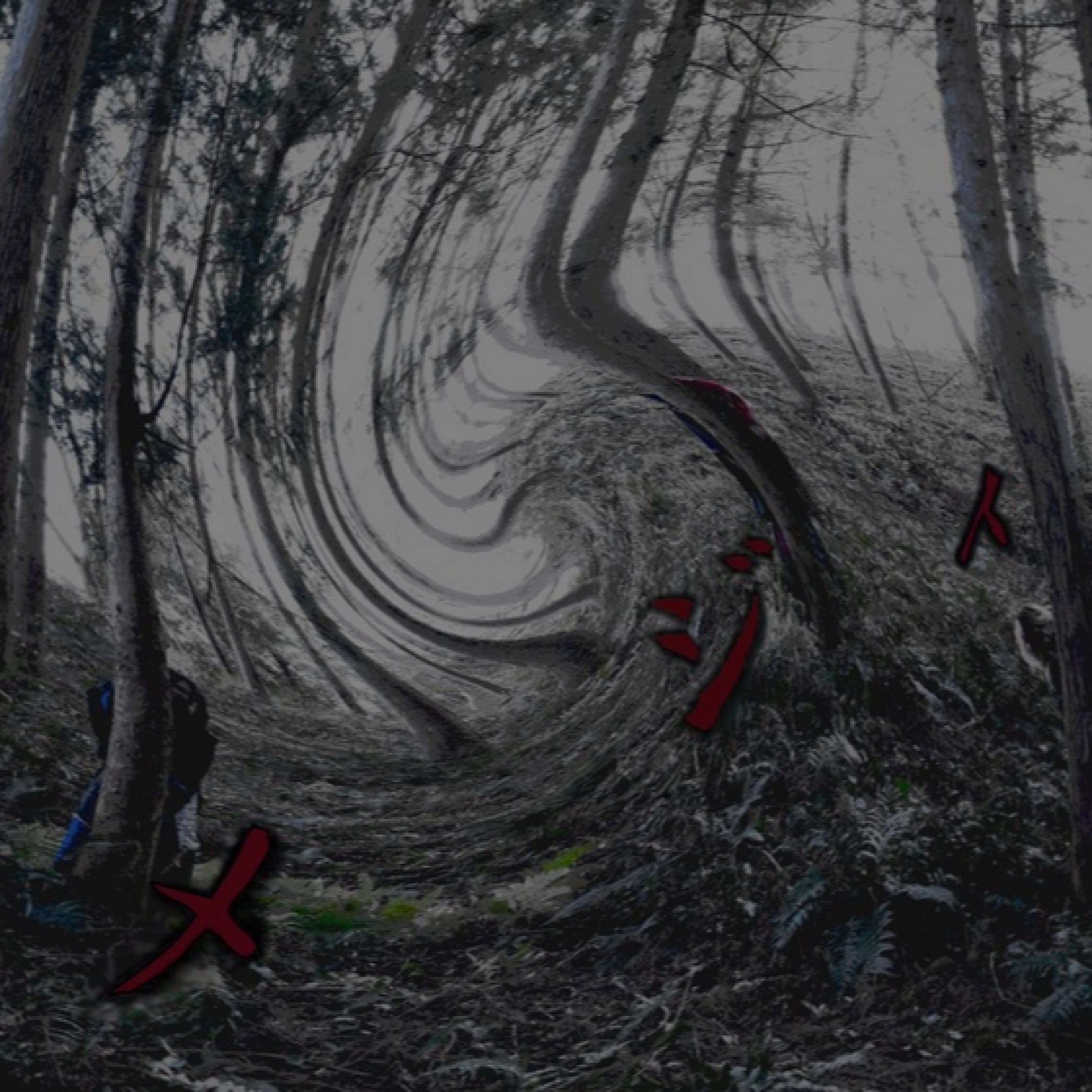 ジャケット写真