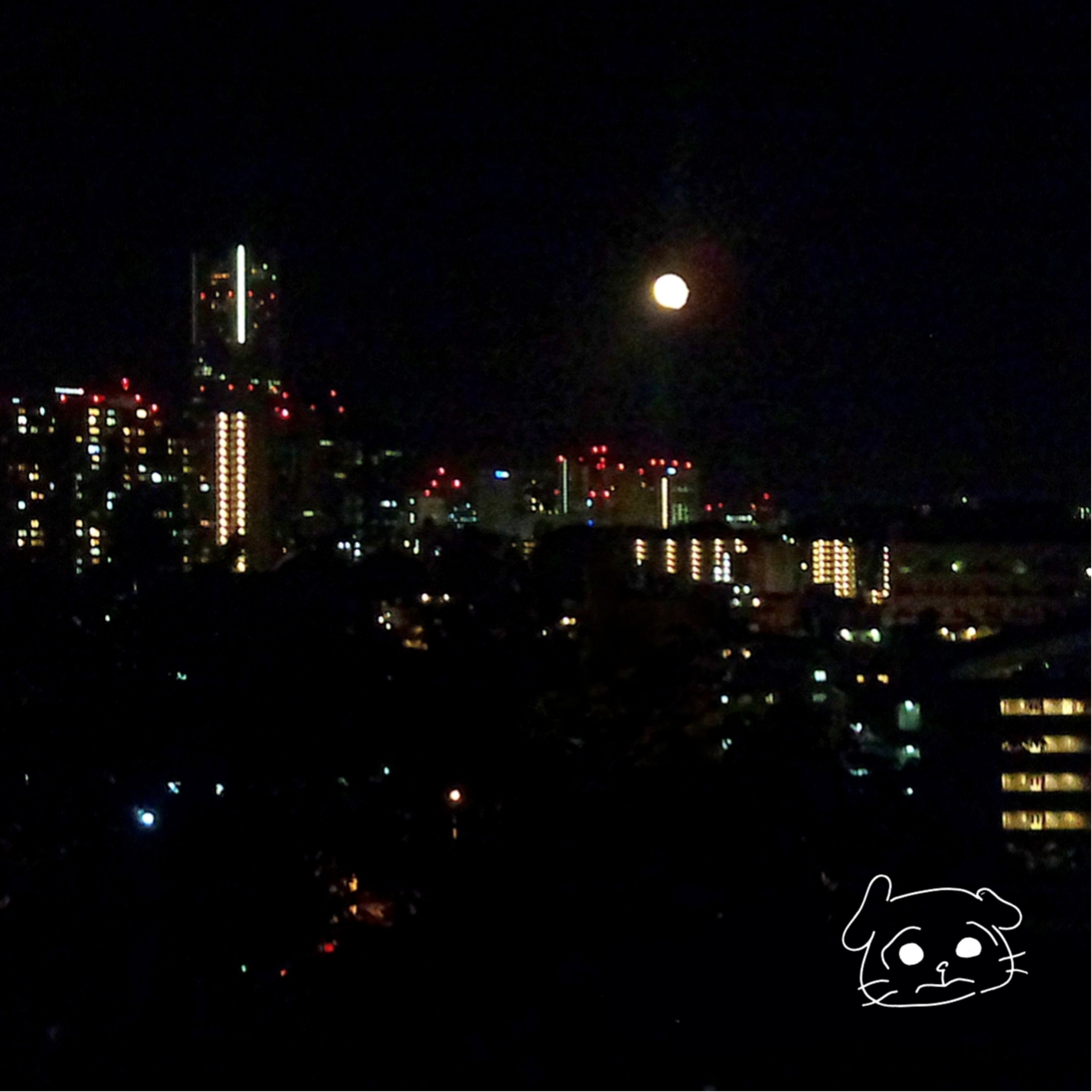 ジャケット写真