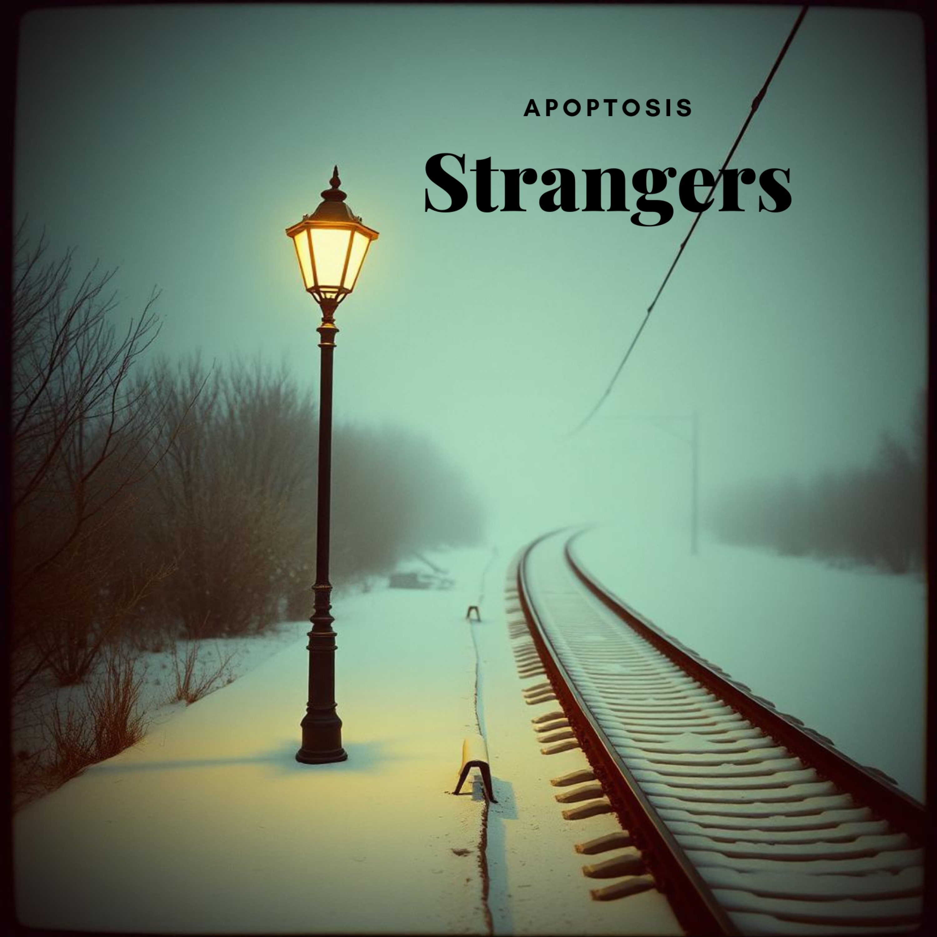 ジャケット写真