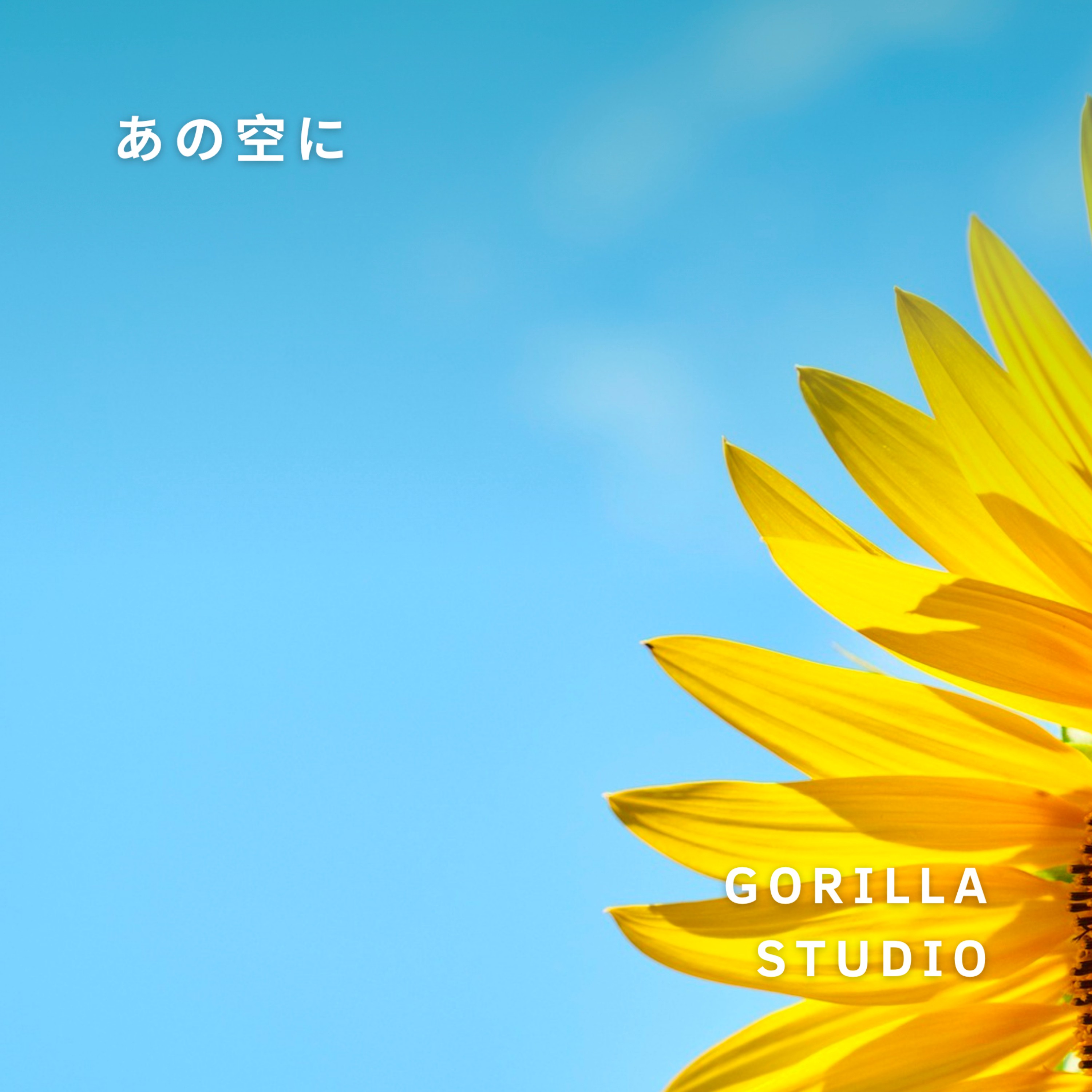 ジャケット写真