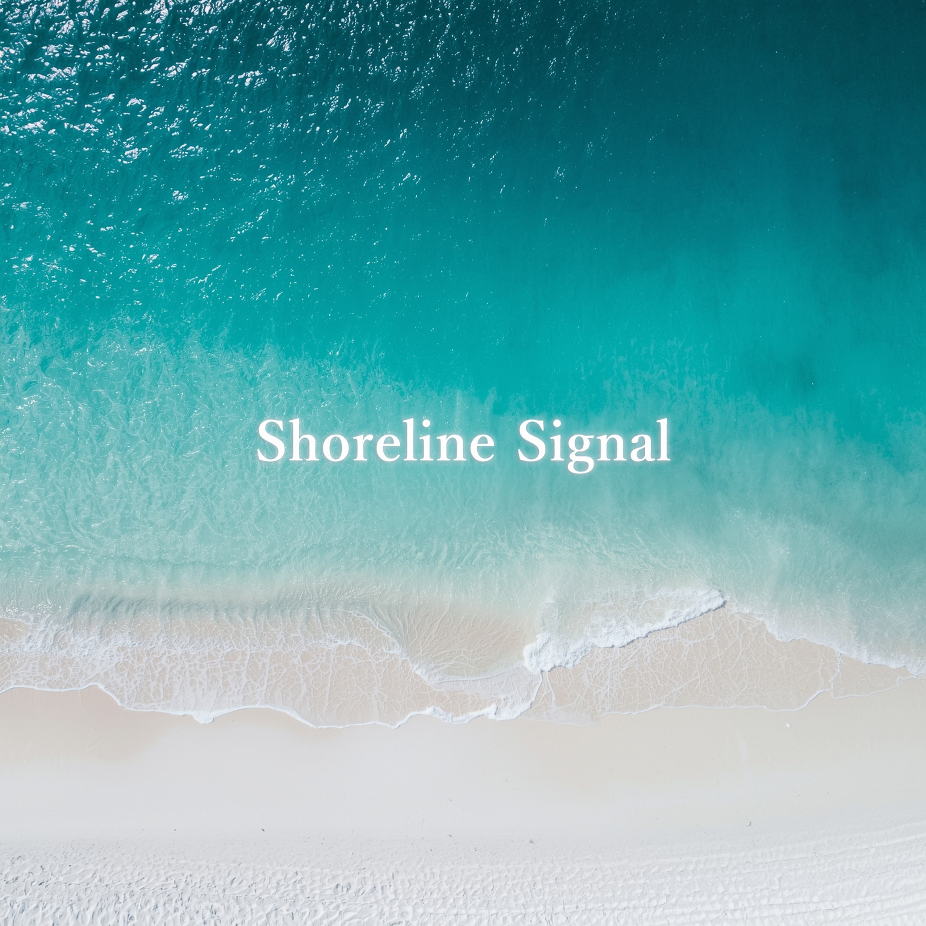 ジャケット写真