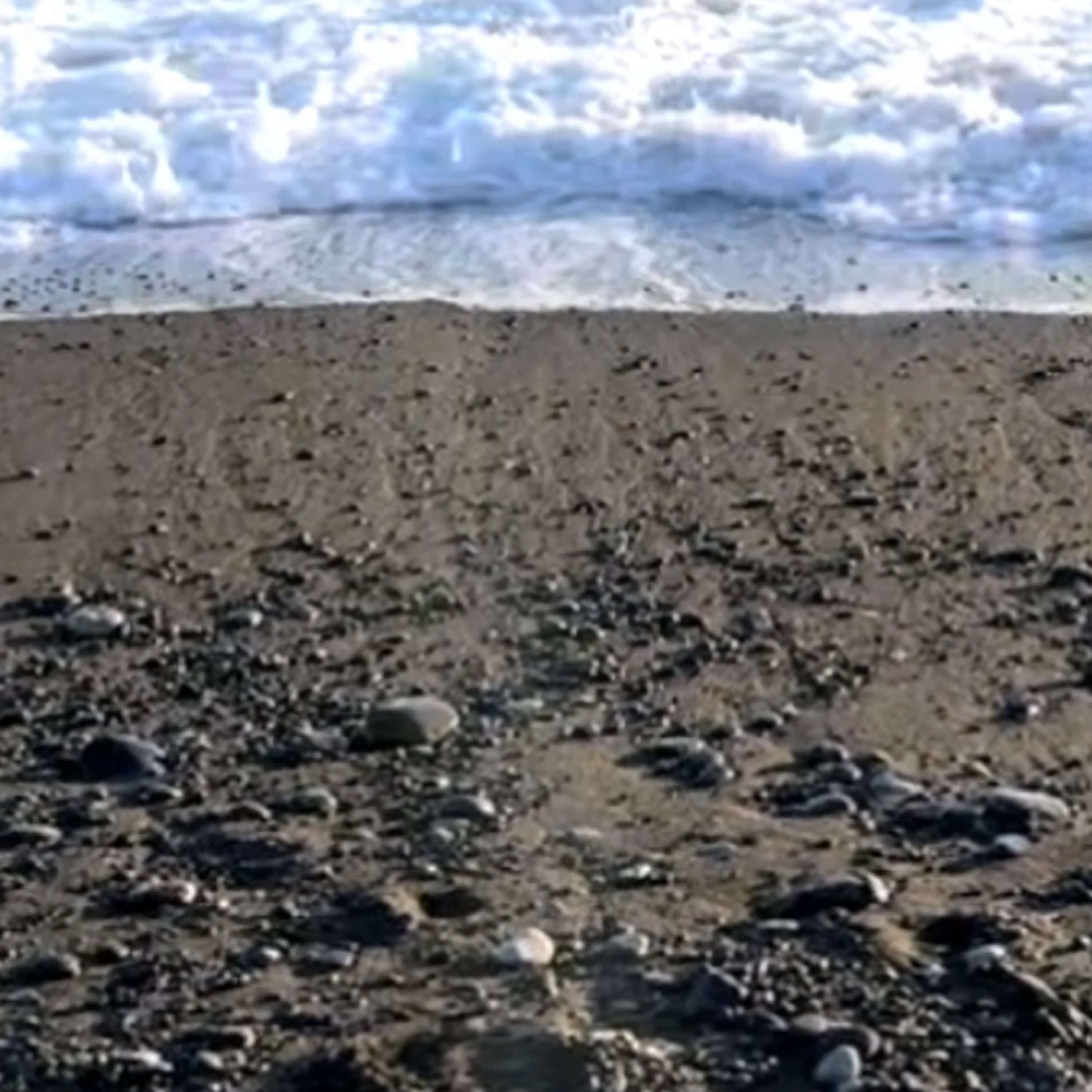 ジャケット写真