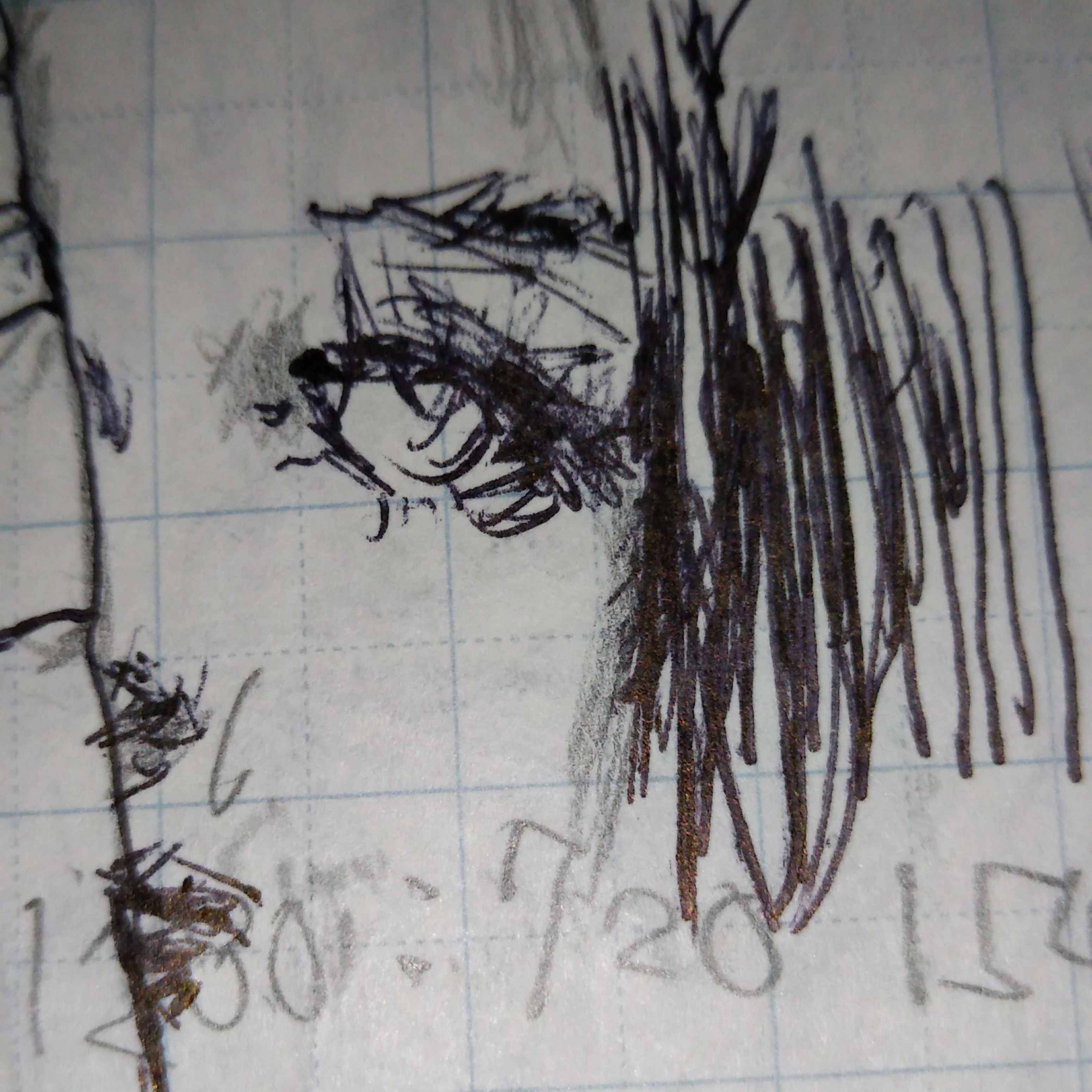 ジャケット写真