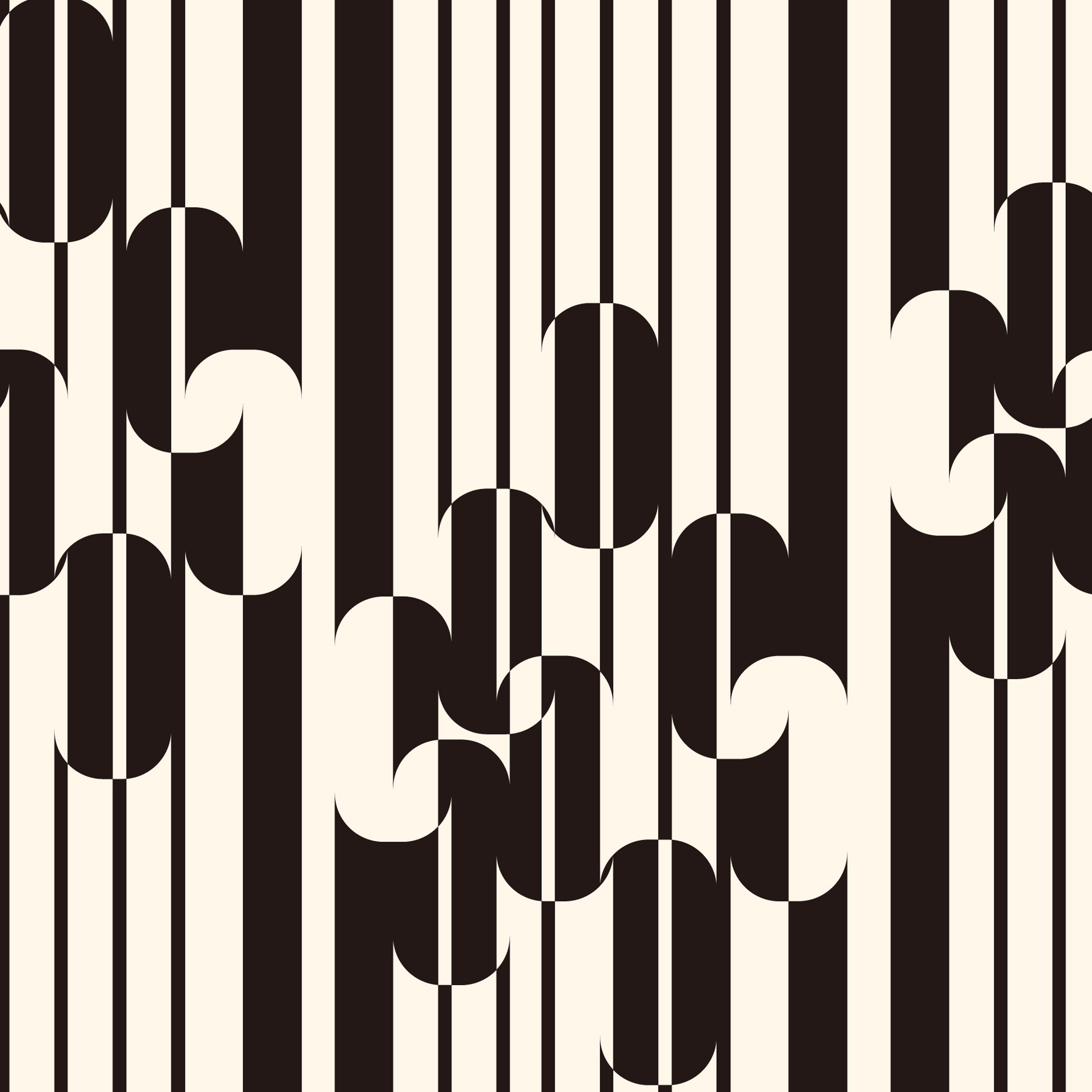 ジャケット写真