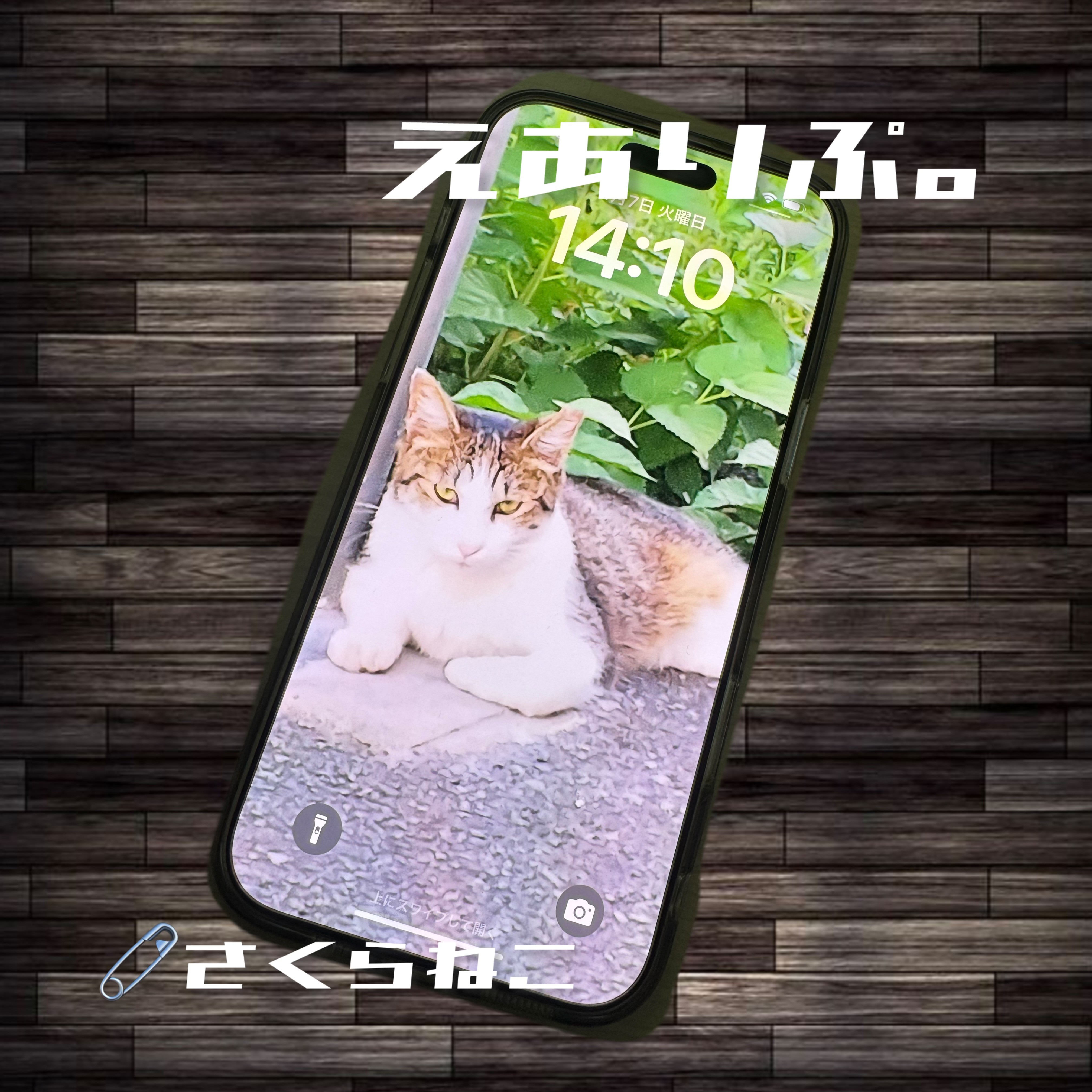 ジャケット写真