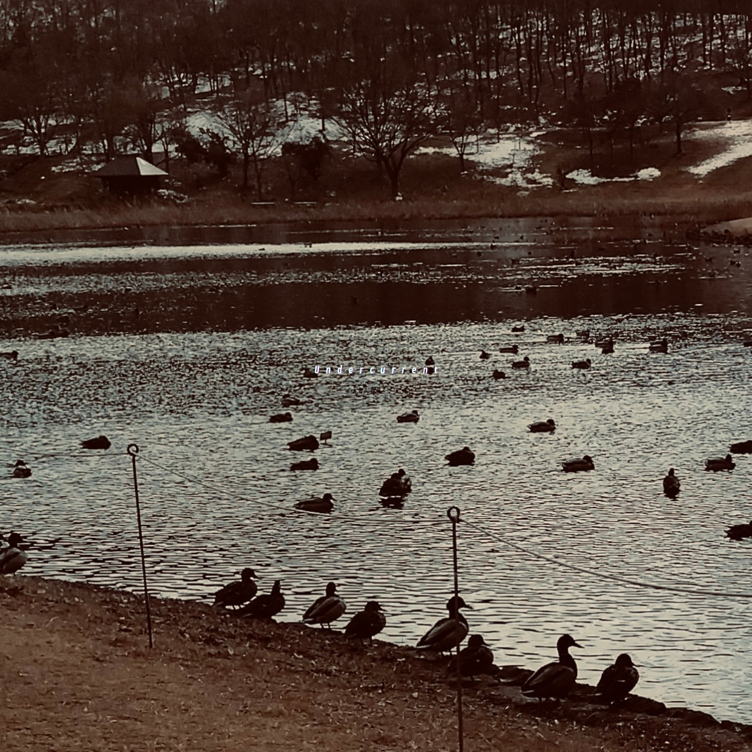 ジャケット写真