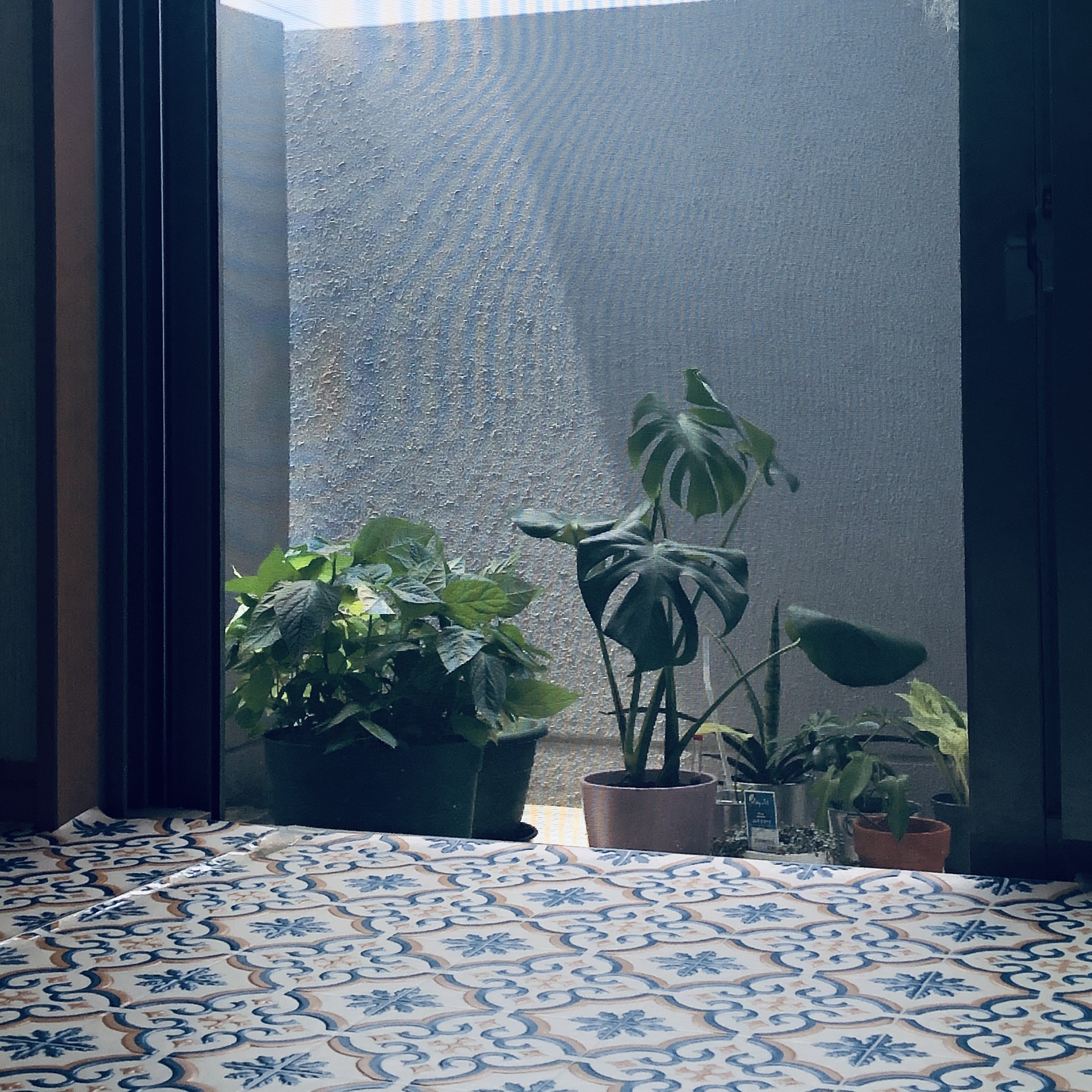 ジャケット写真