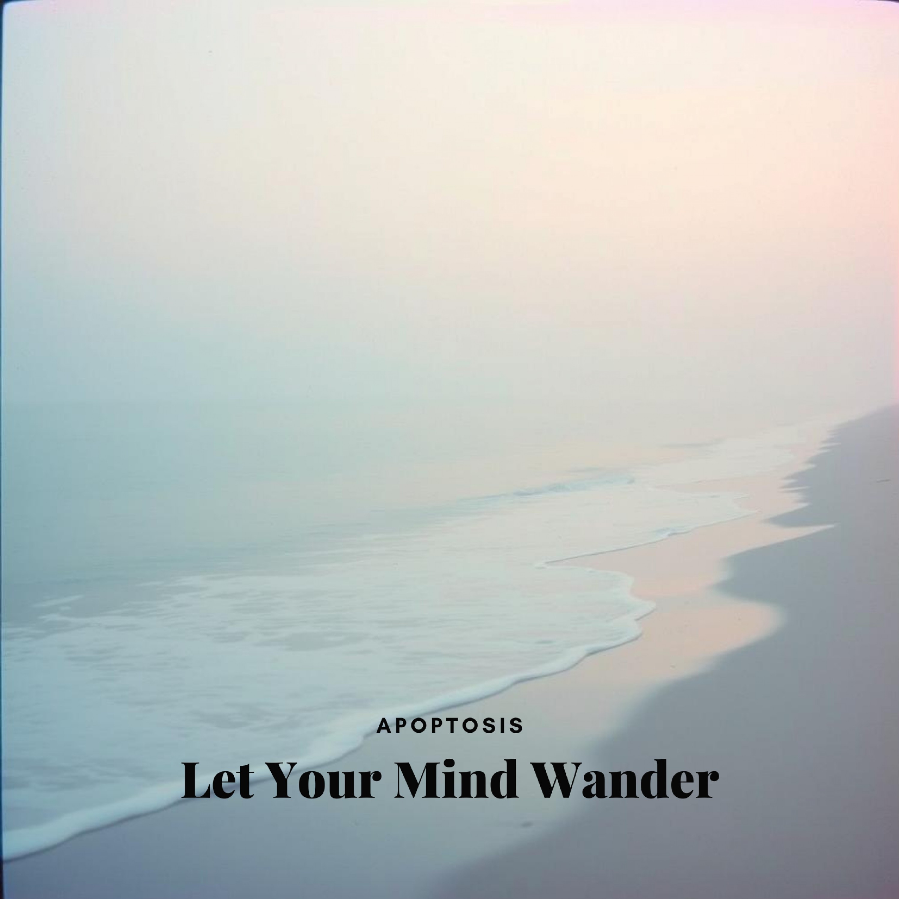 ジャケット写真