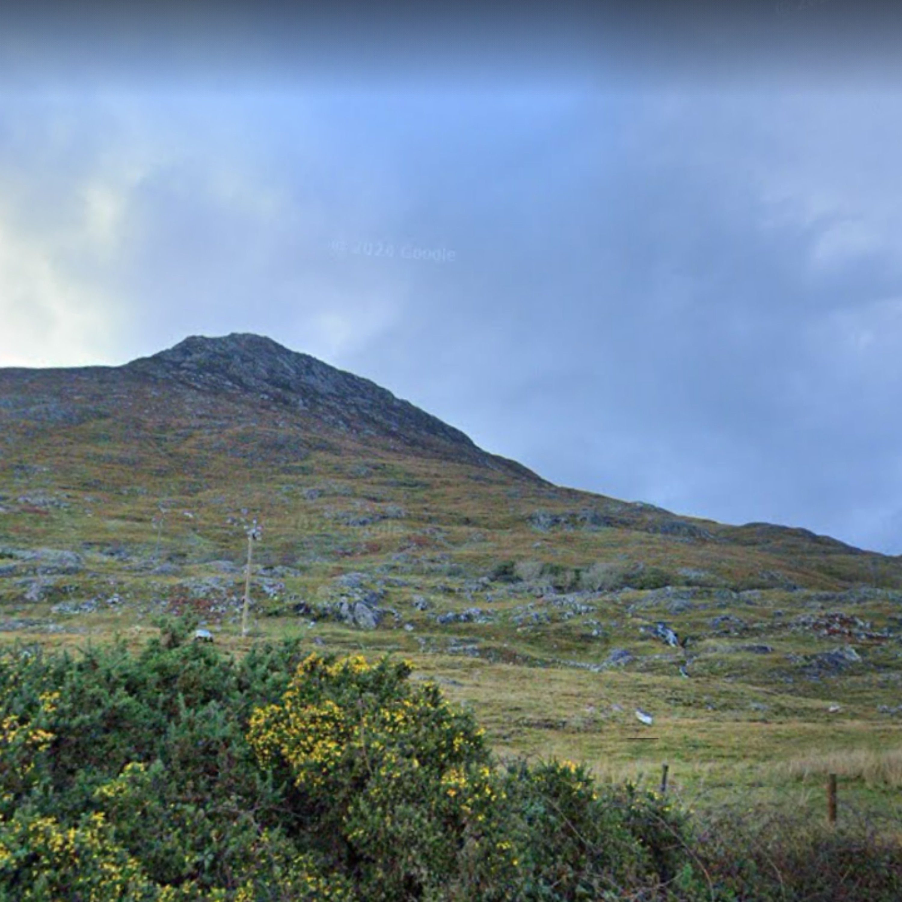 ジャケット写真