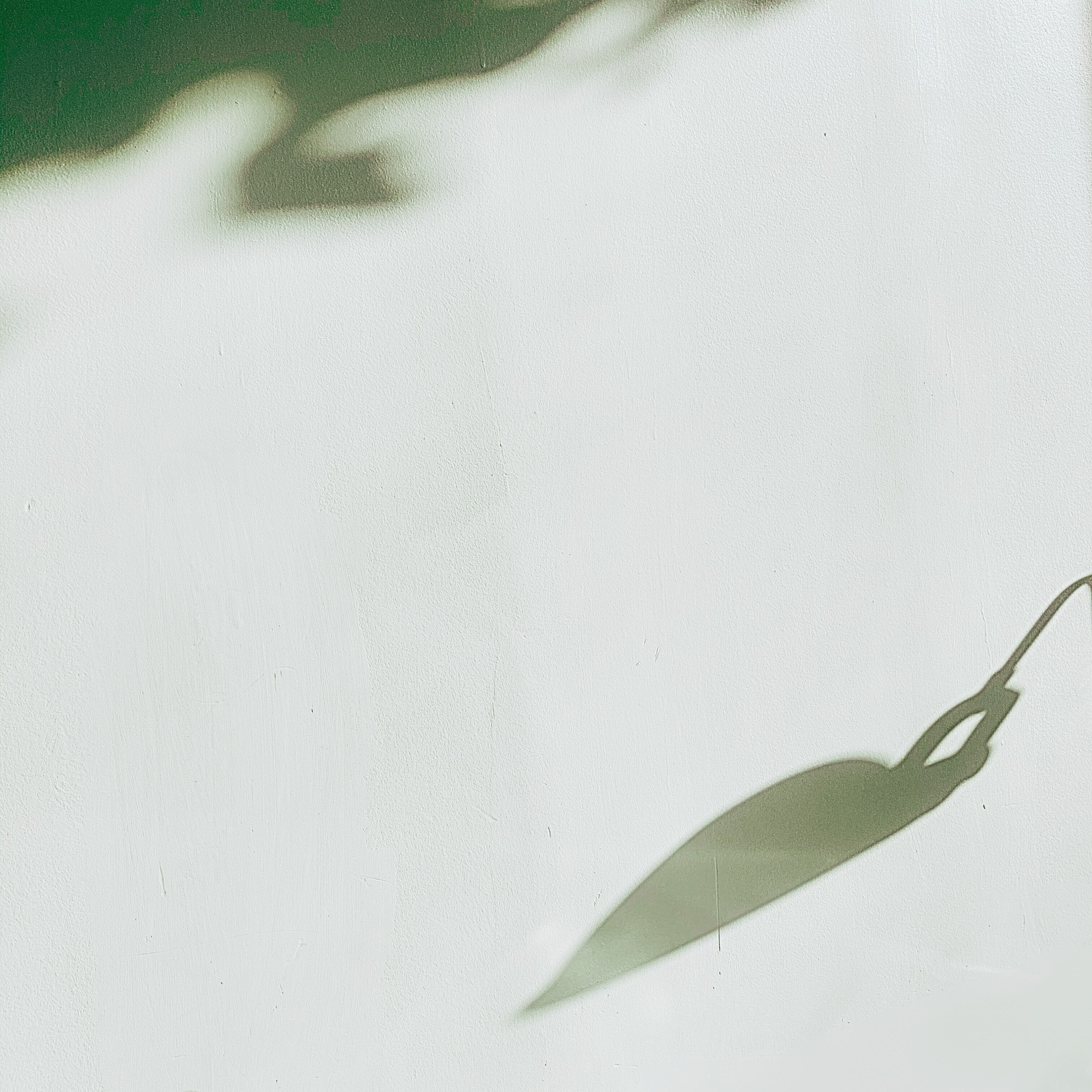 ジャケット写真