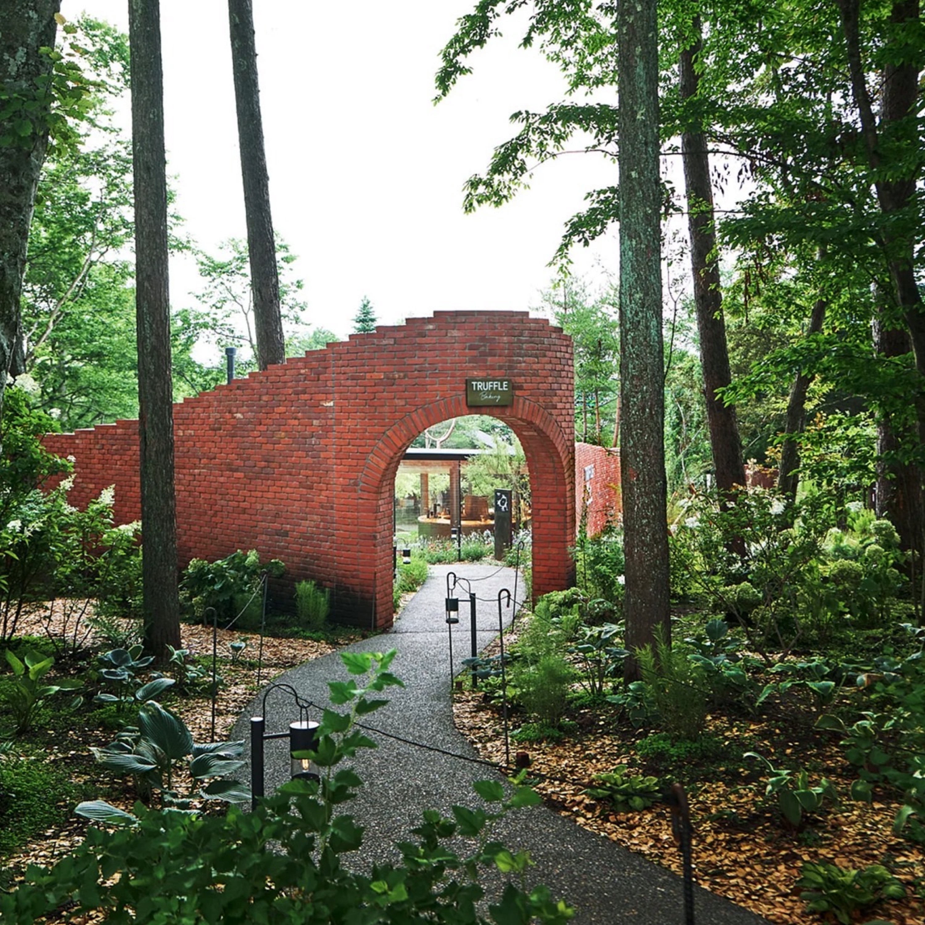 ジャケット写真