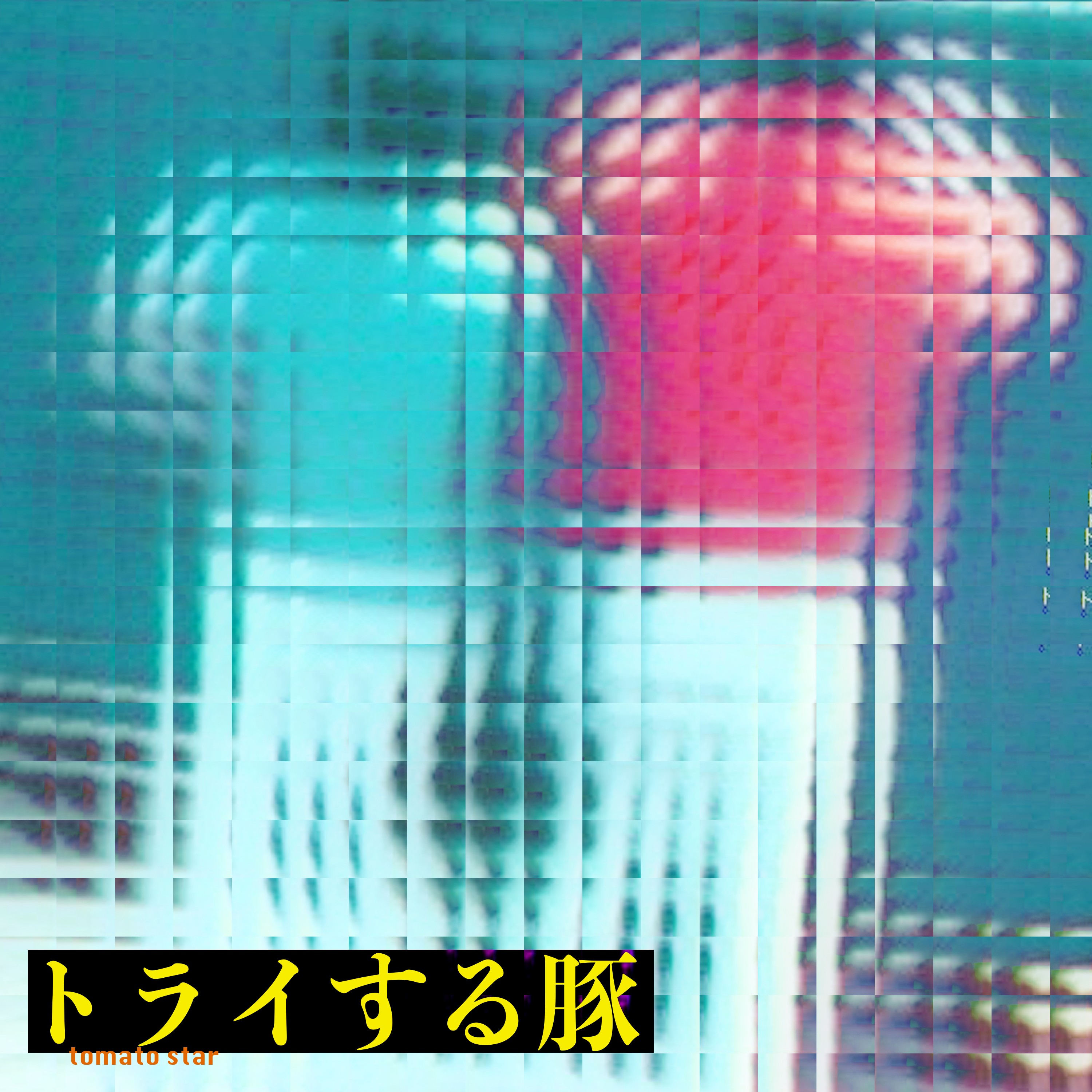 ジャケット写真