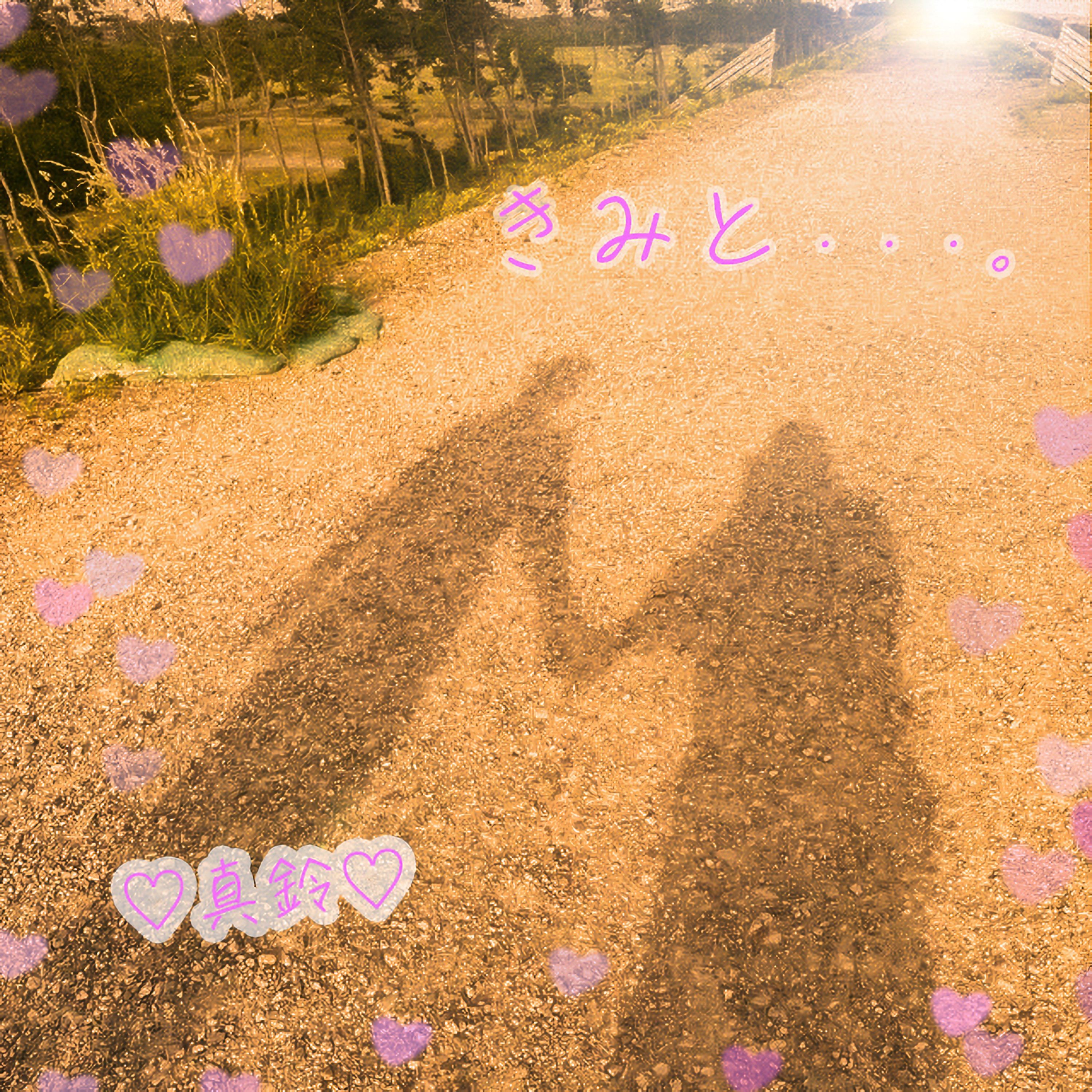 ジャケット写真