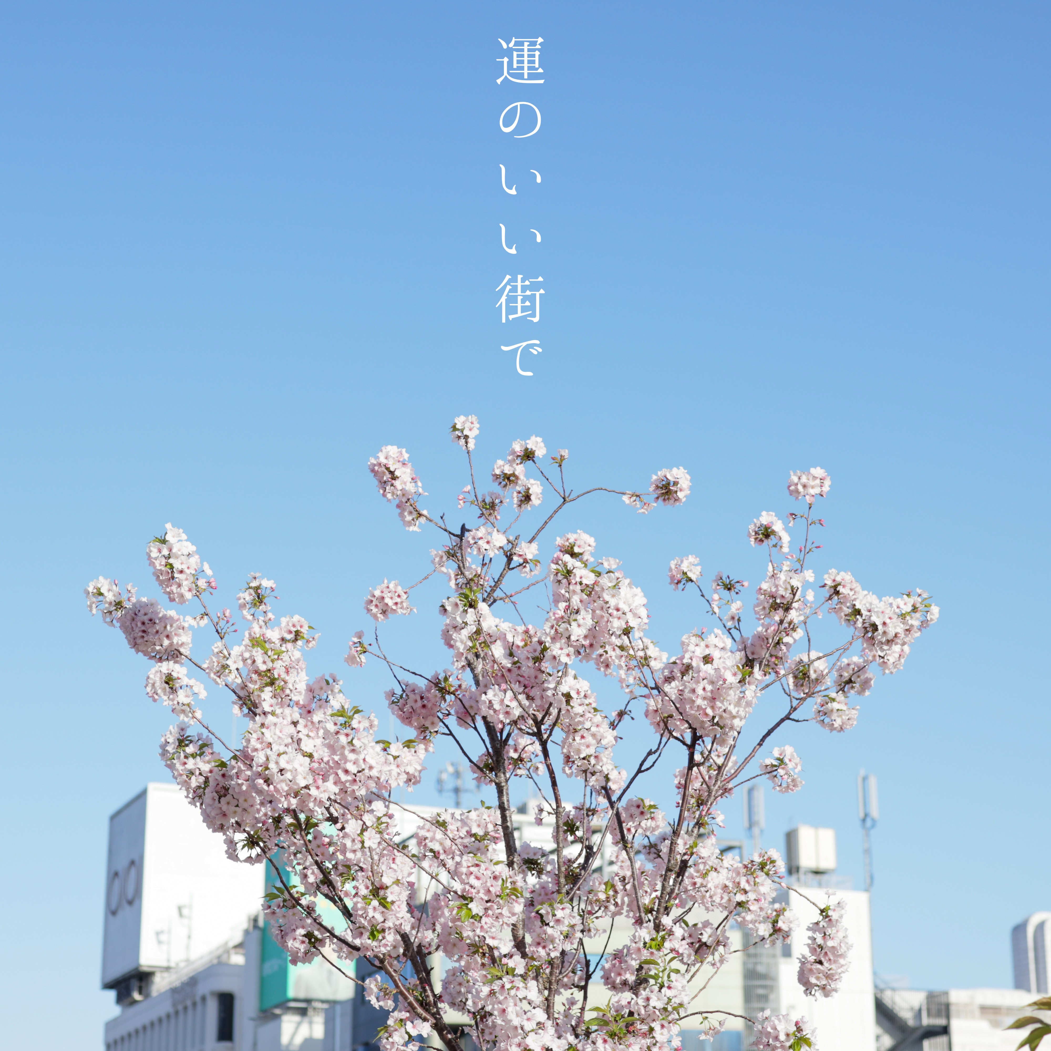 ジャケット写真