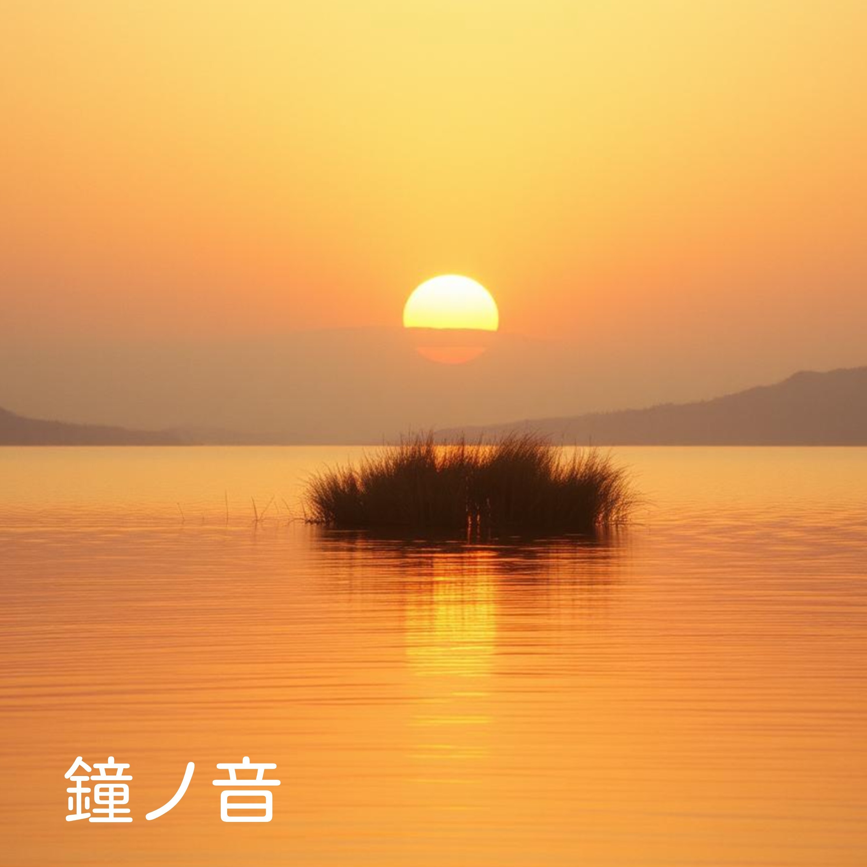 ジャケット写真