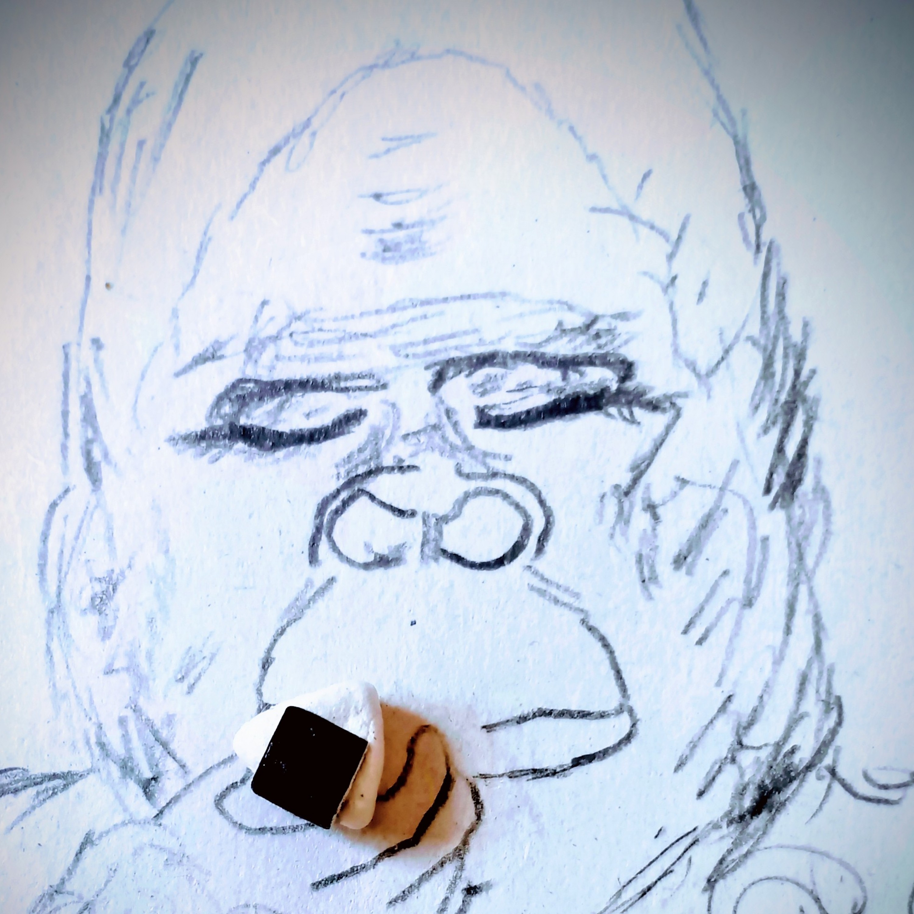 ジャケット写真