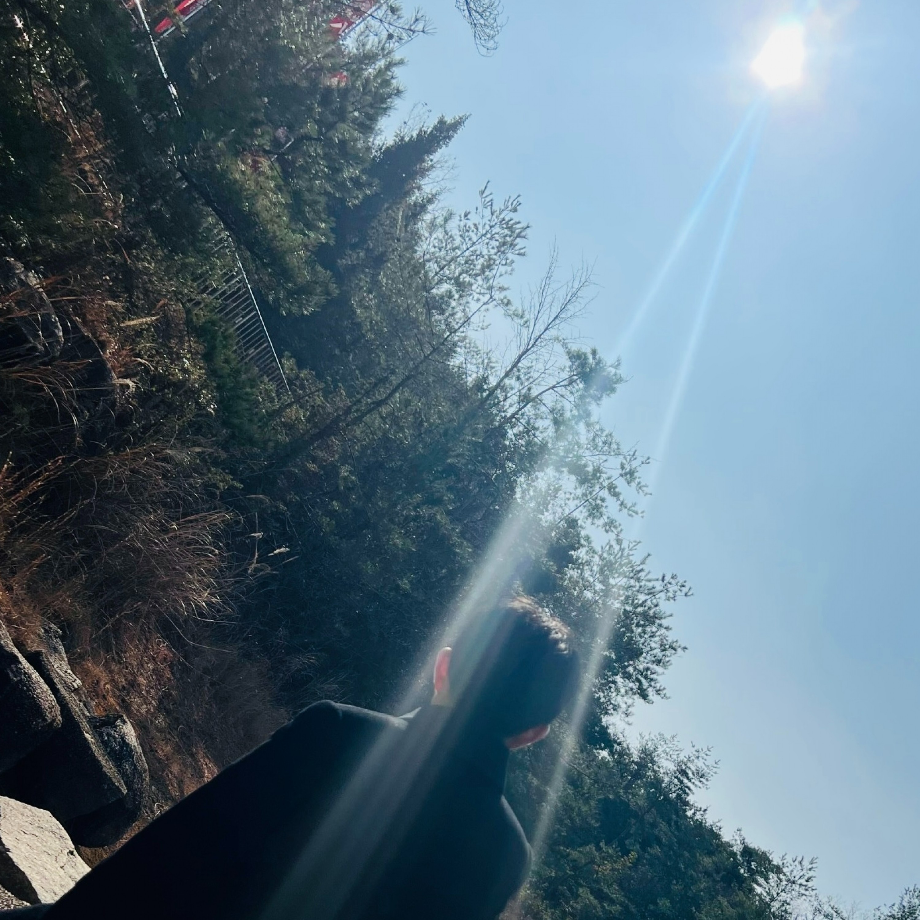 ジャケット写真