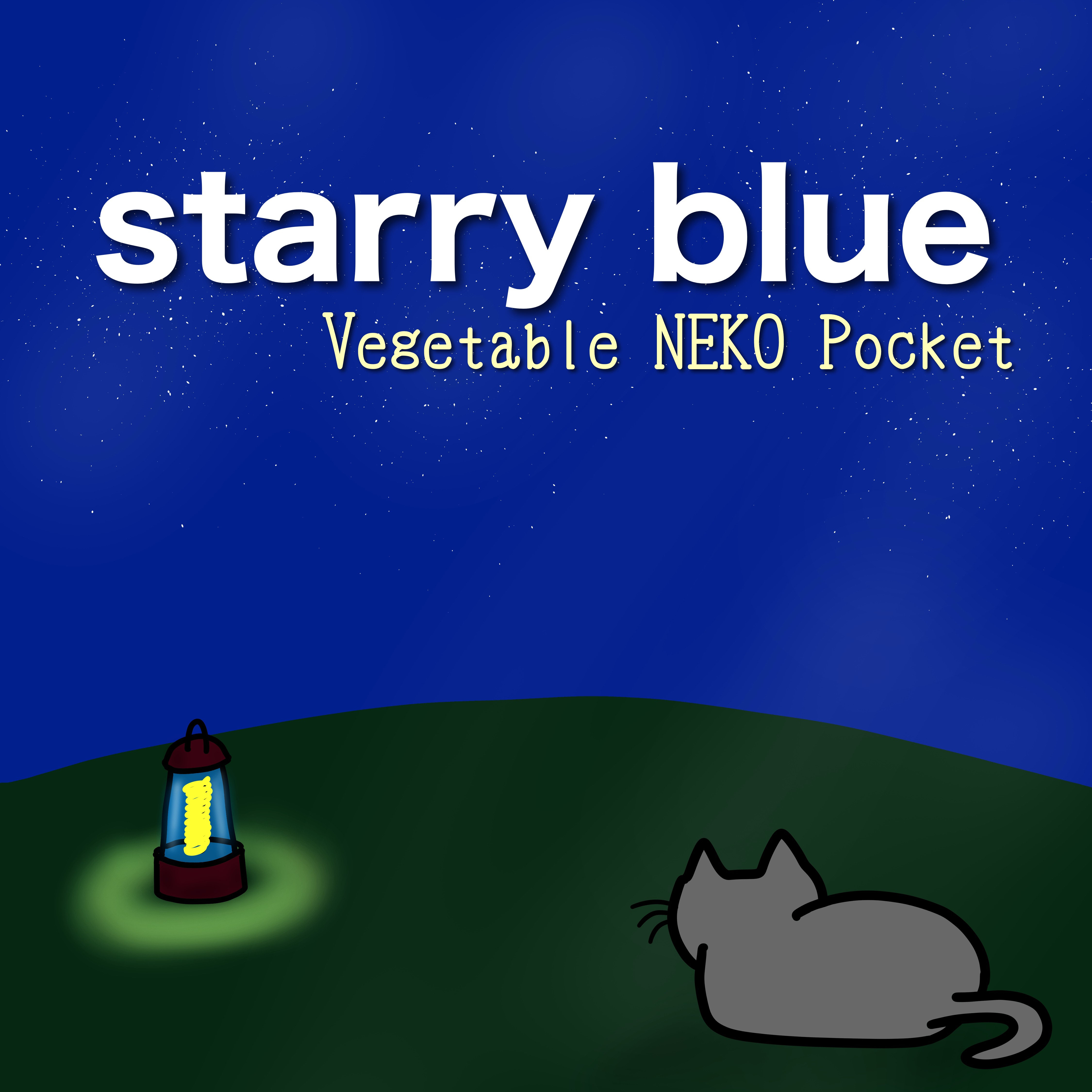 ジャケット写真