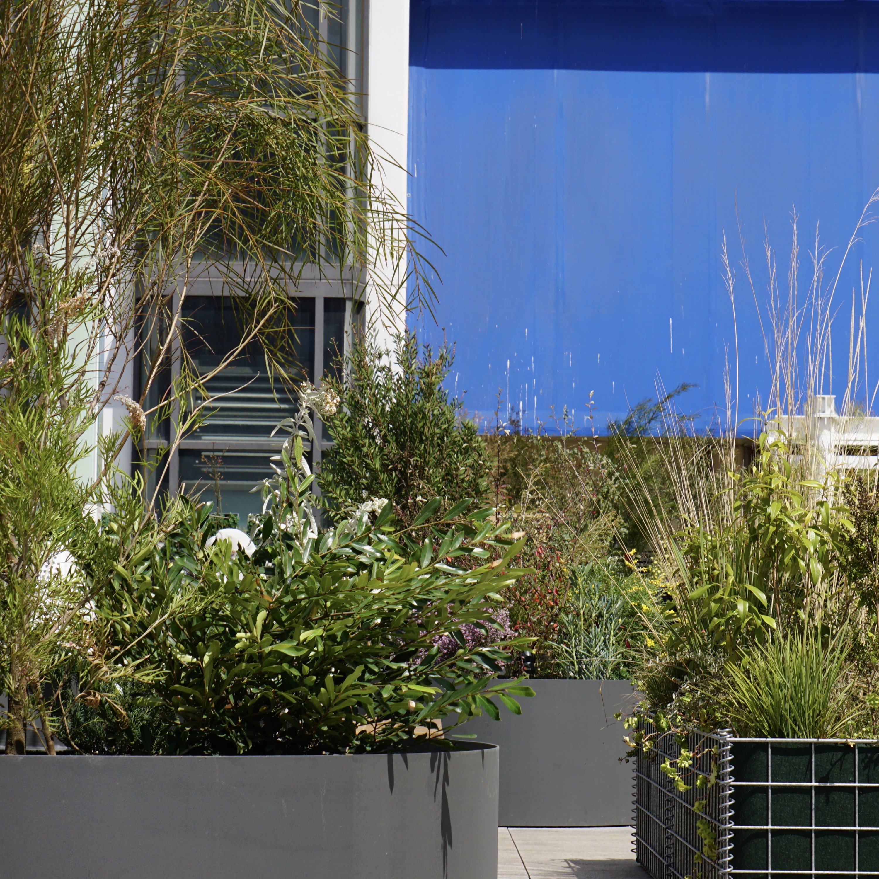 ジャケット写真