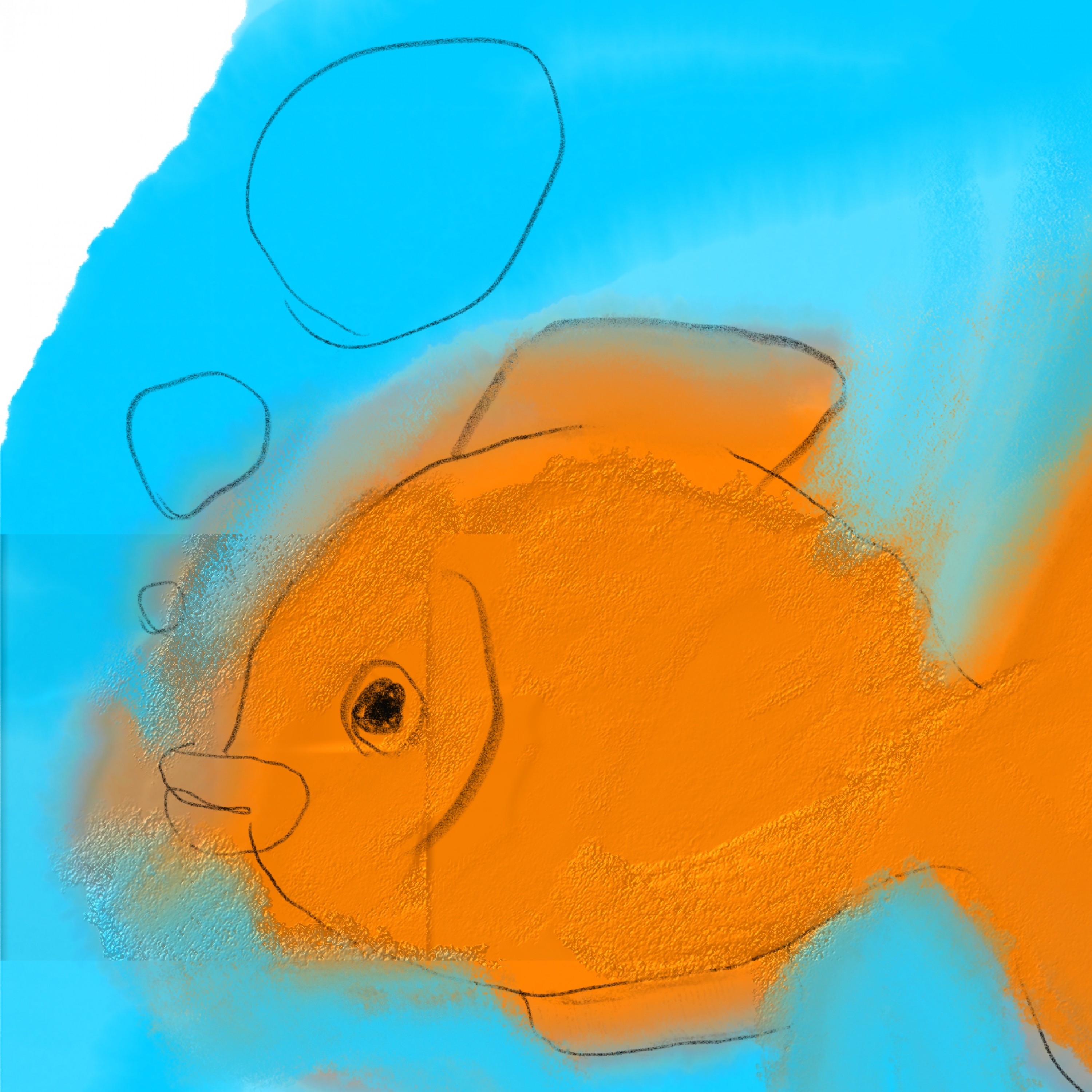 ジャケット写真