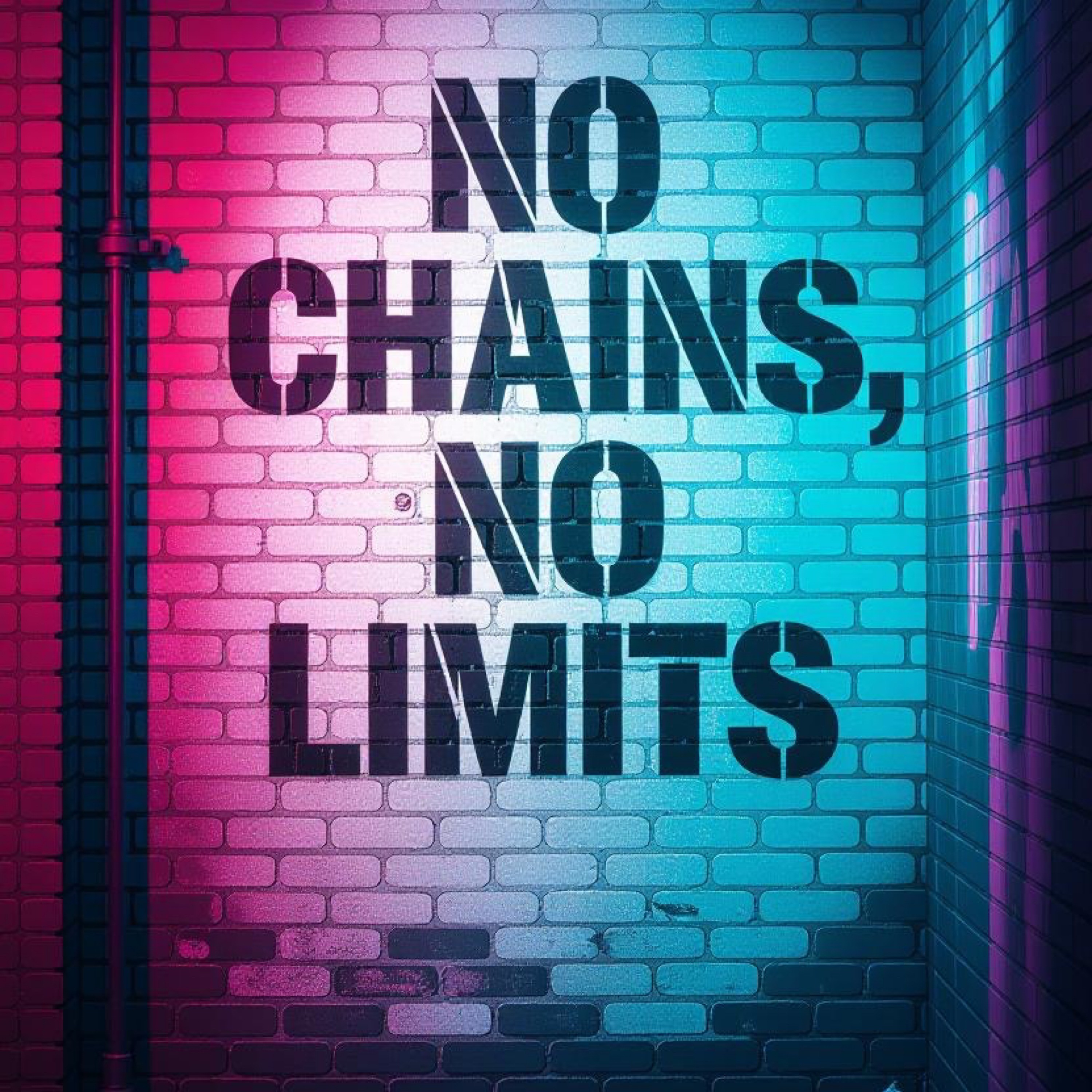 ジャケット写真