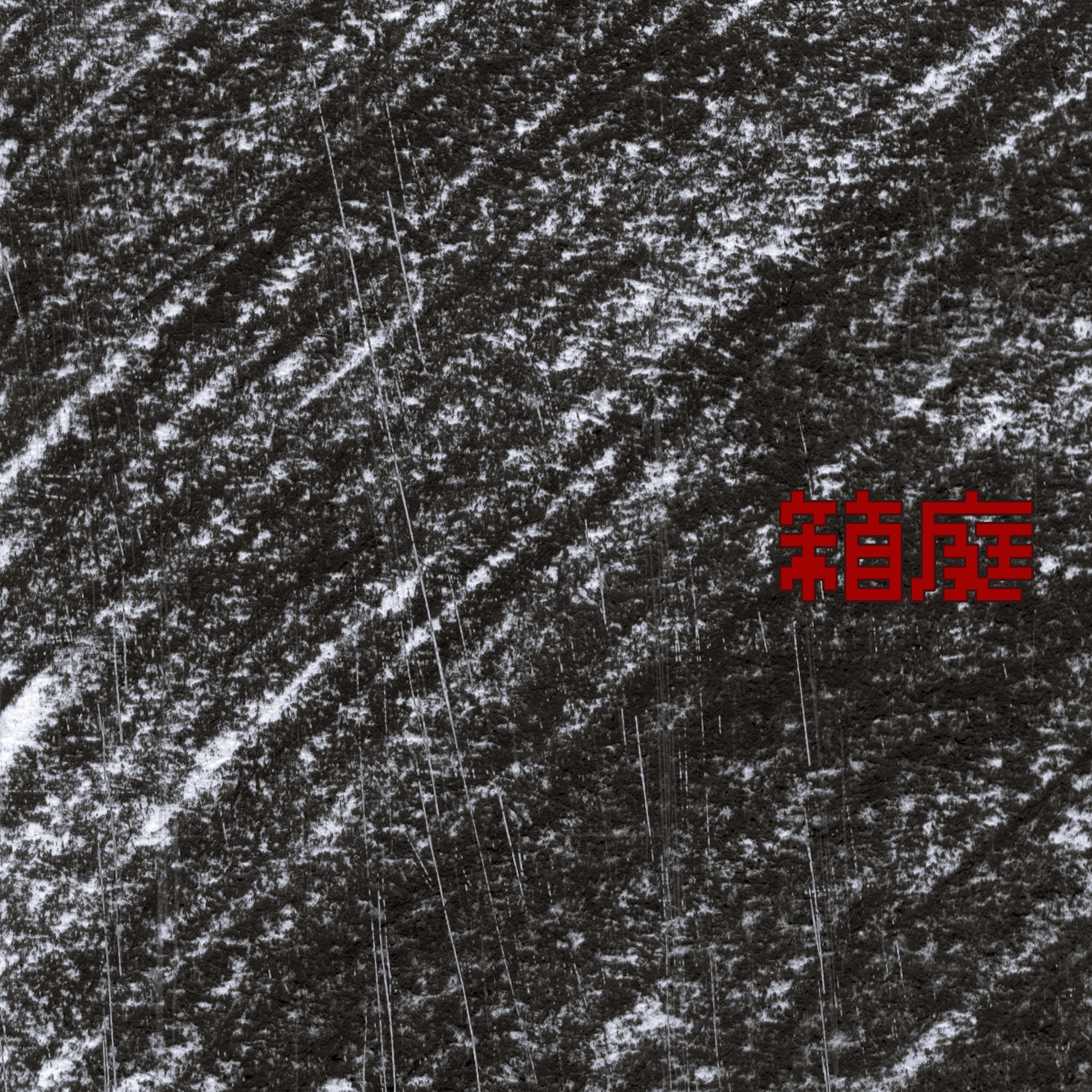 ジャケット写真