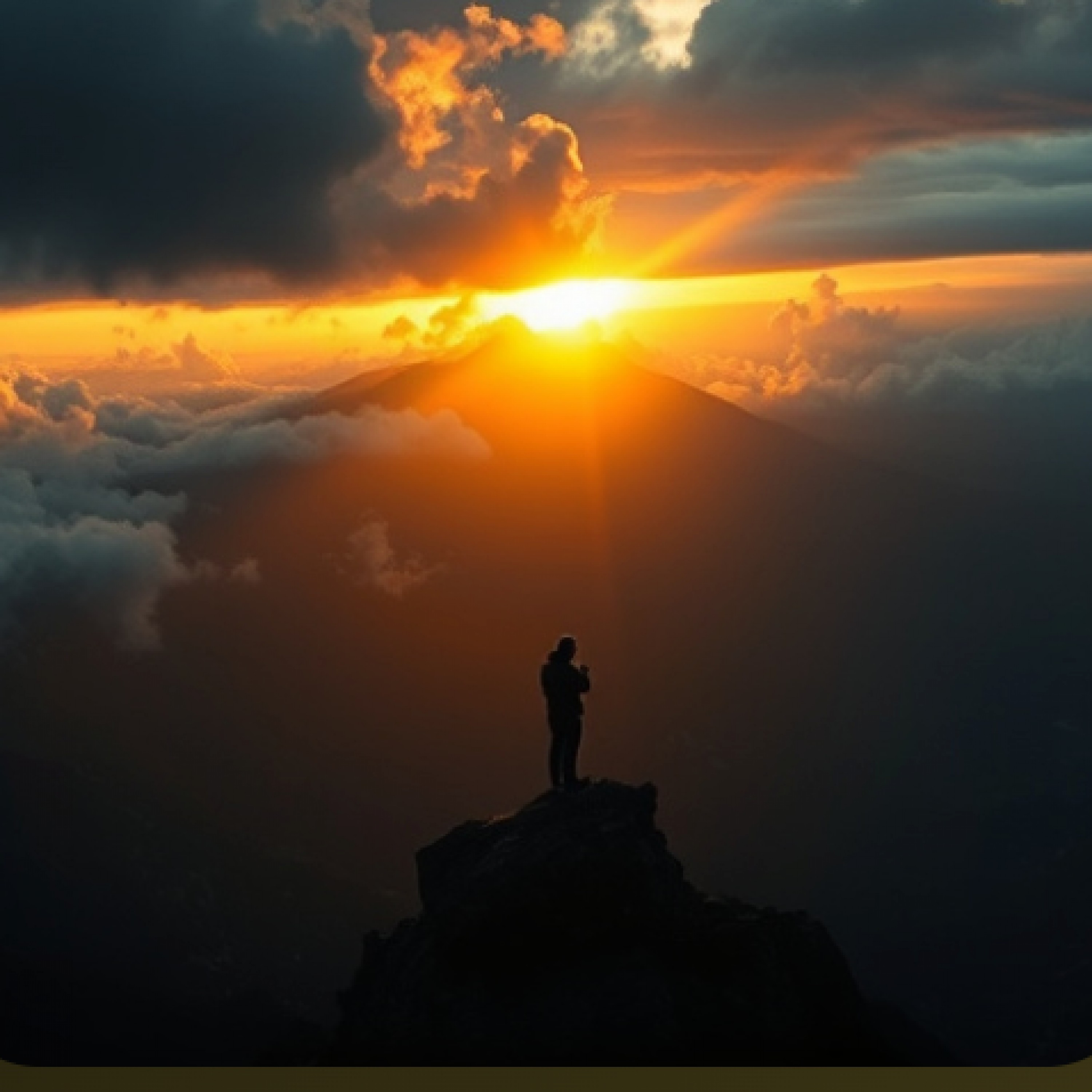 ジャケット写真