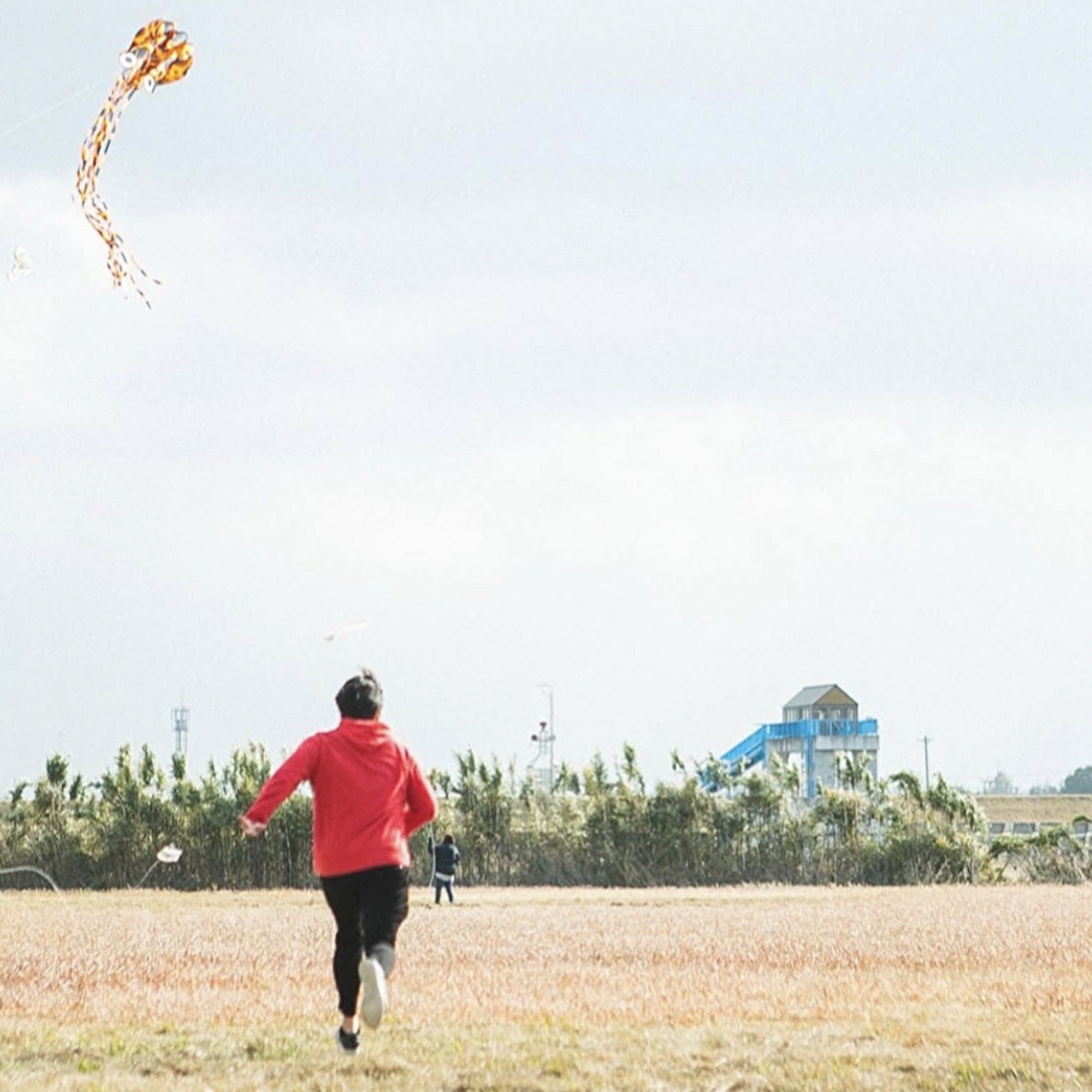 ジャケット写真