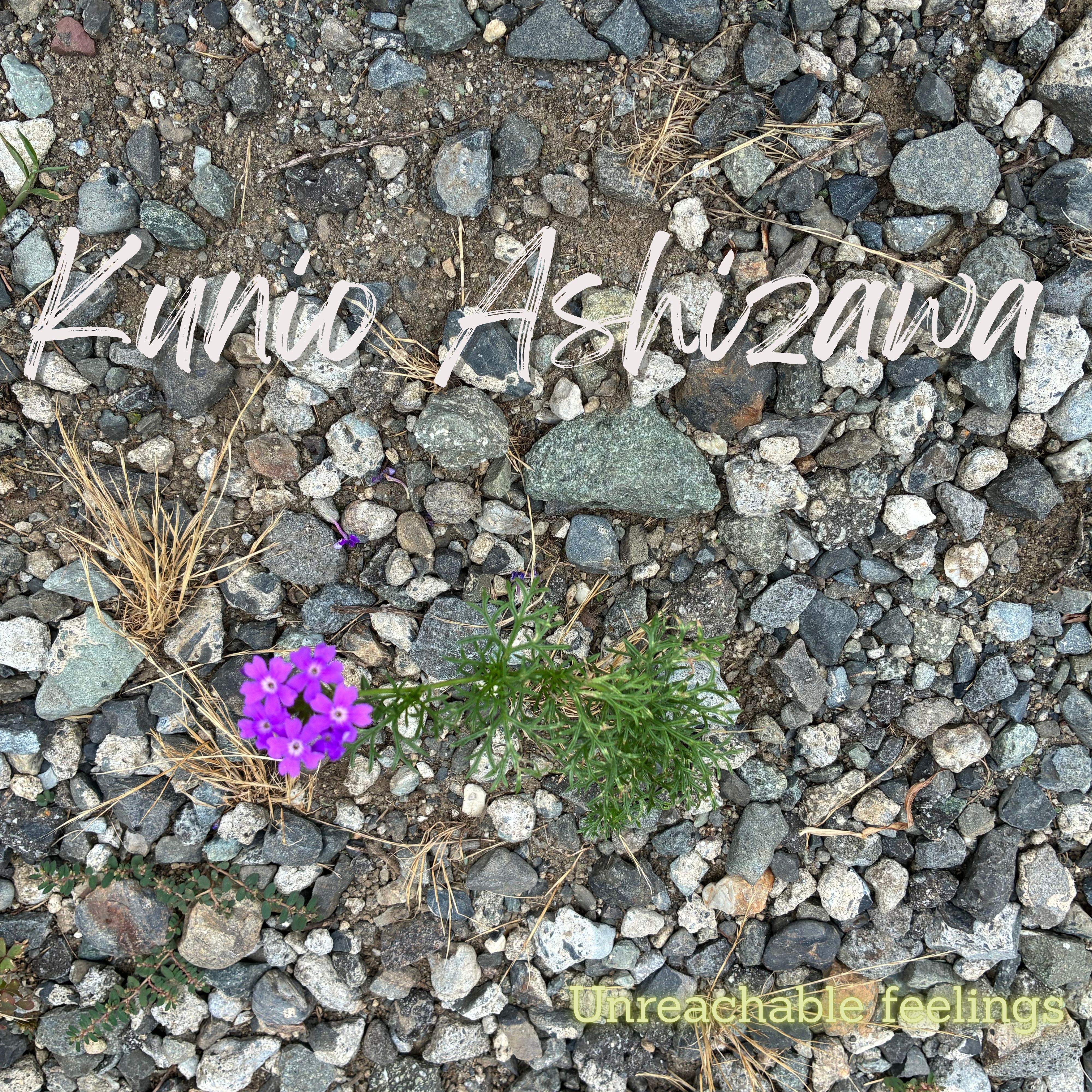 ジャケット写真