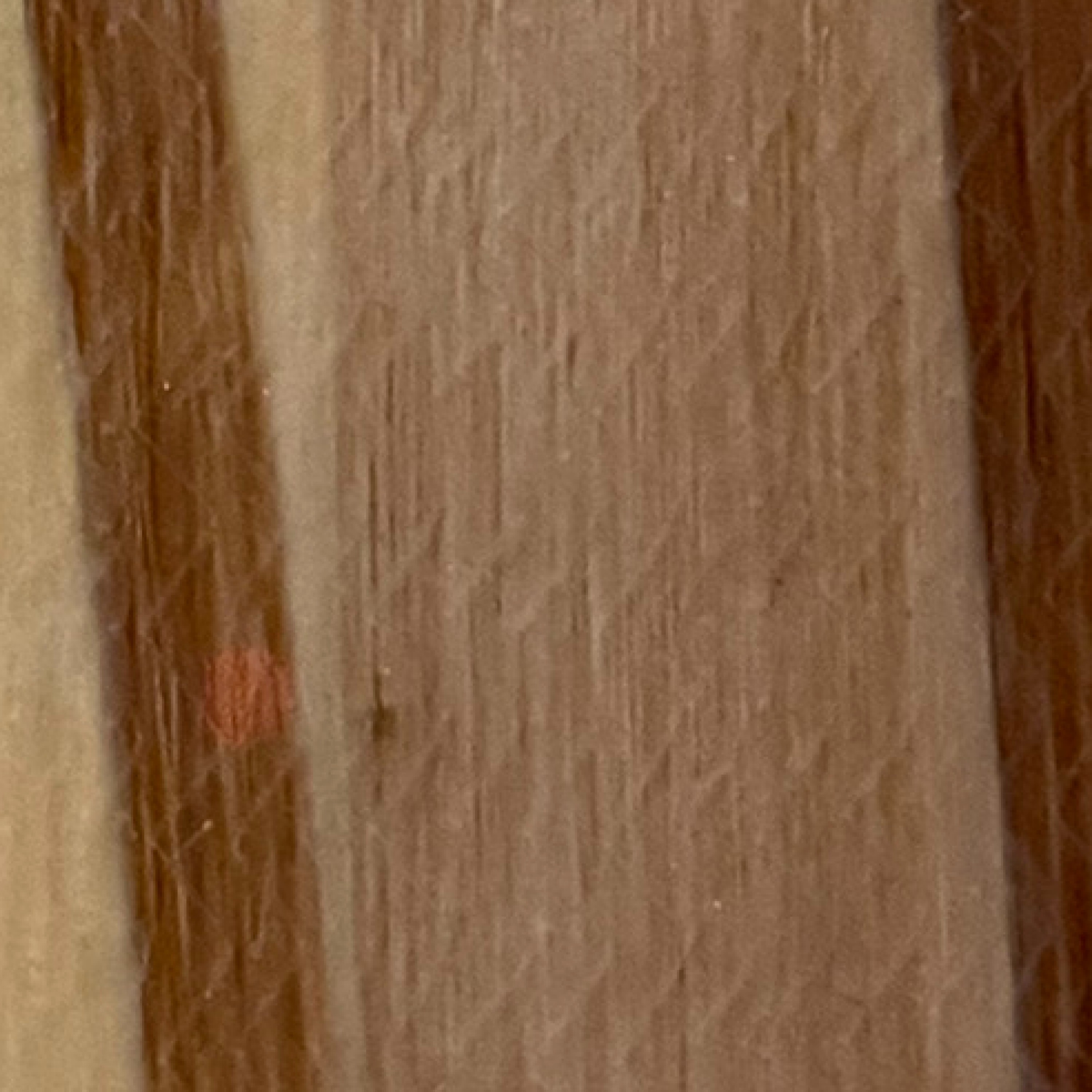 ジャケット写真