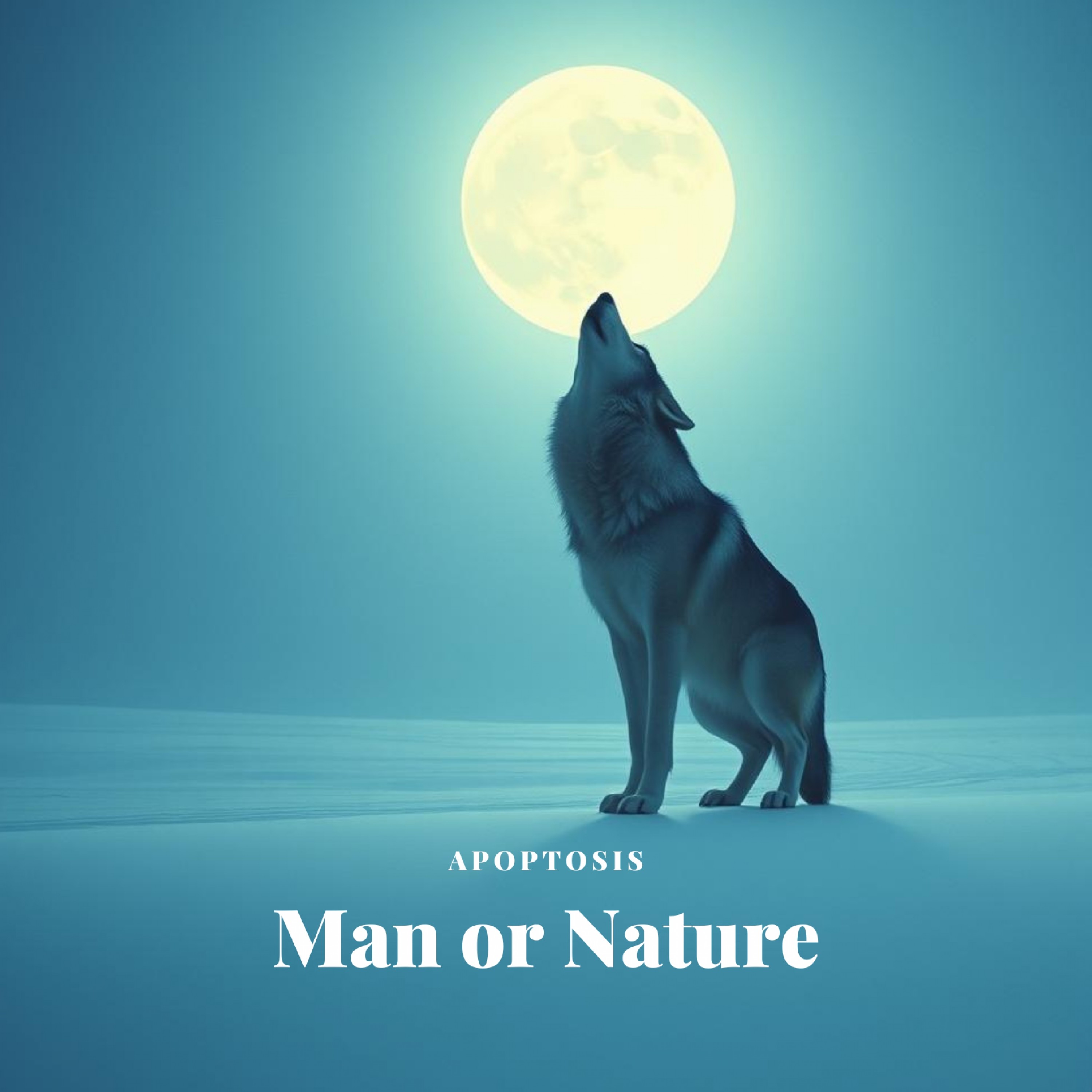 ジャケット写真