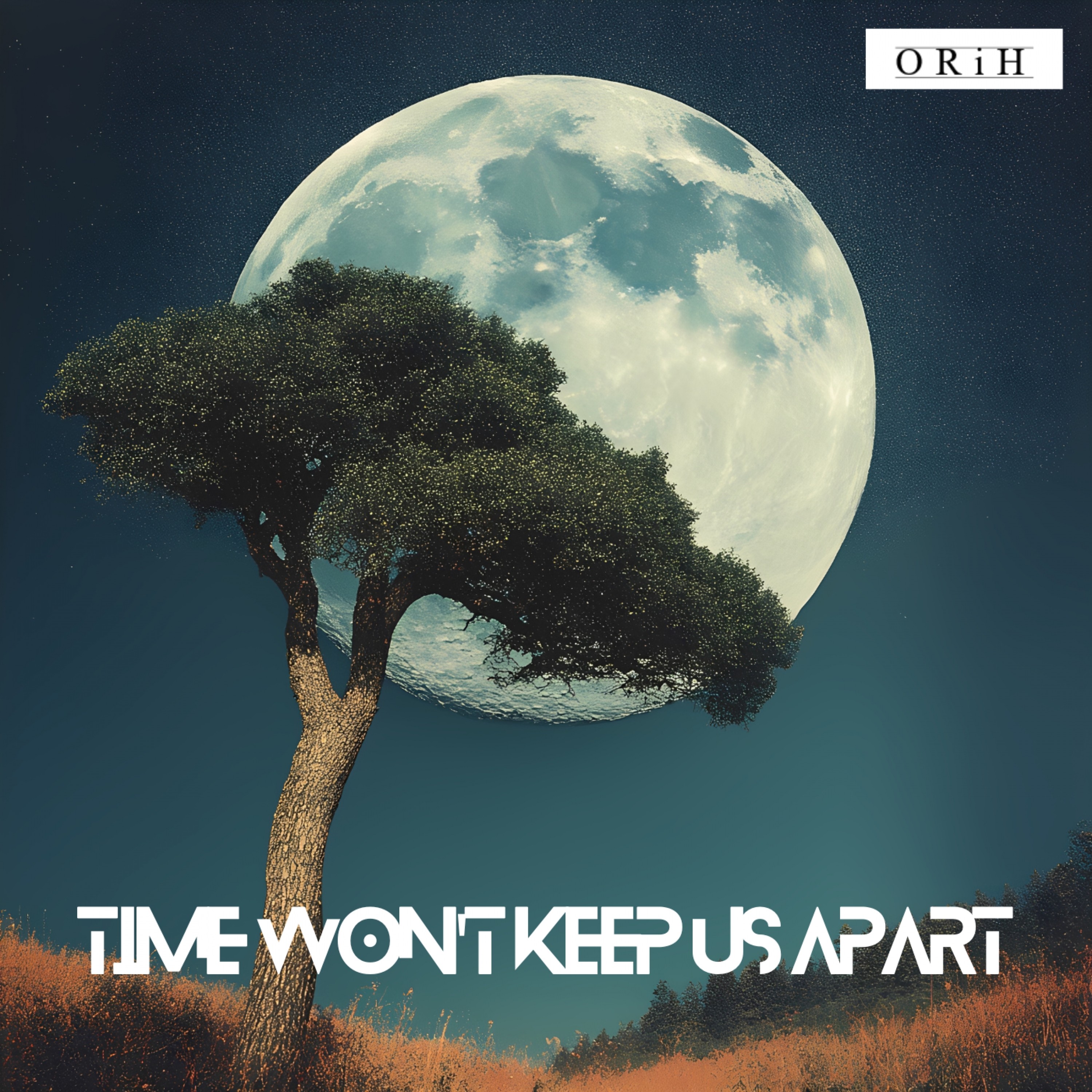 ジャケット写真