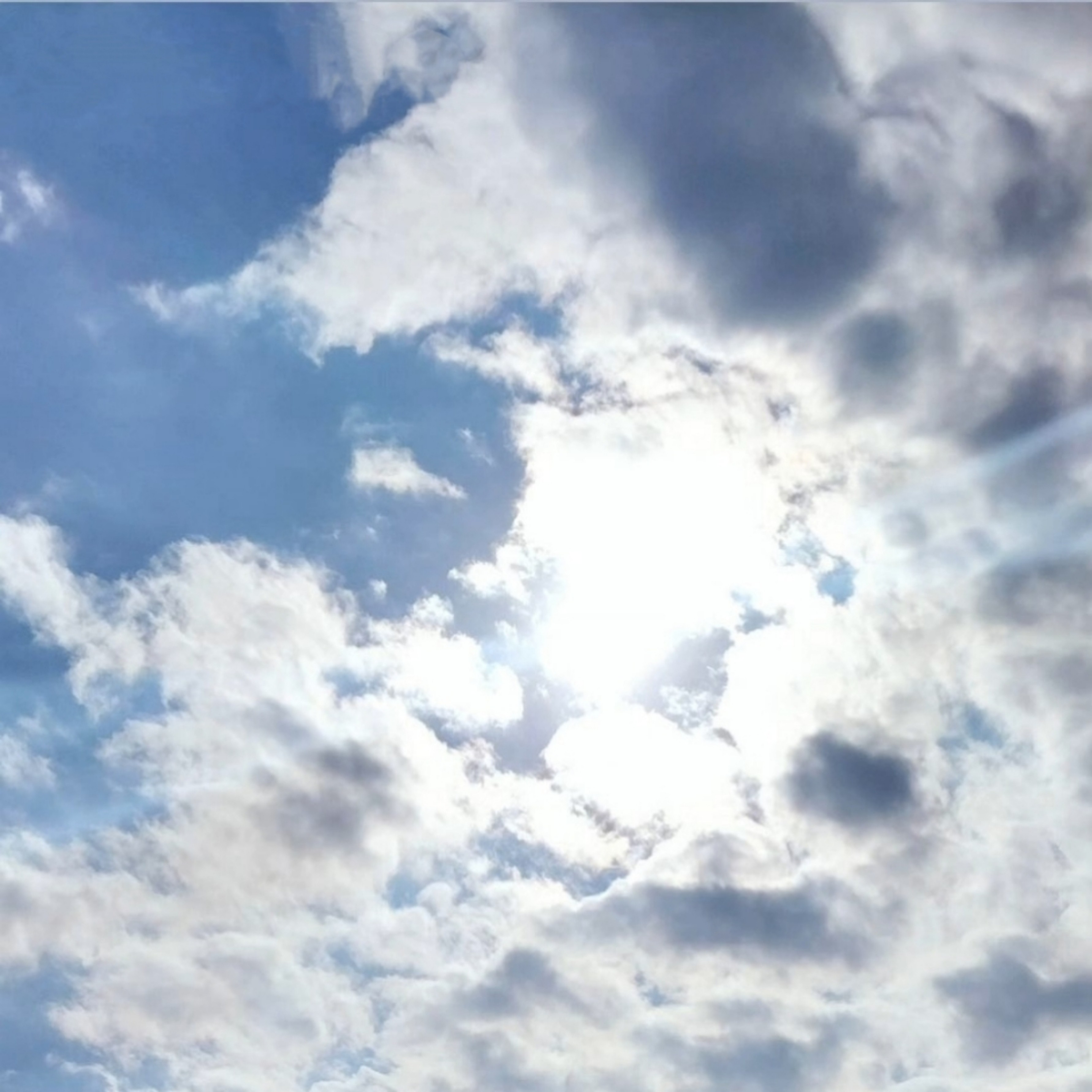 ジャケット写真