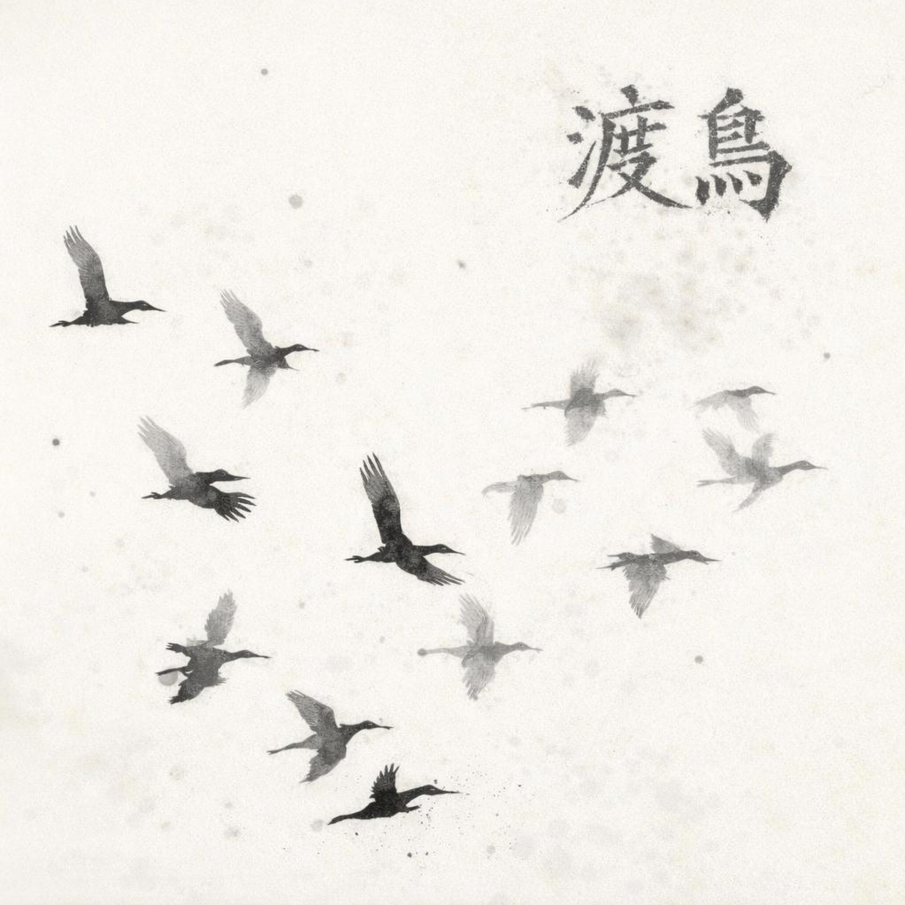 ジャケット写真